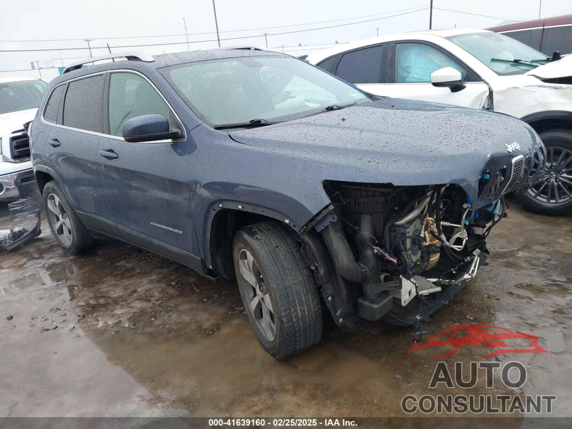 JEEP CHEROKEE 2019 - 1C4PJMDX5KD470482