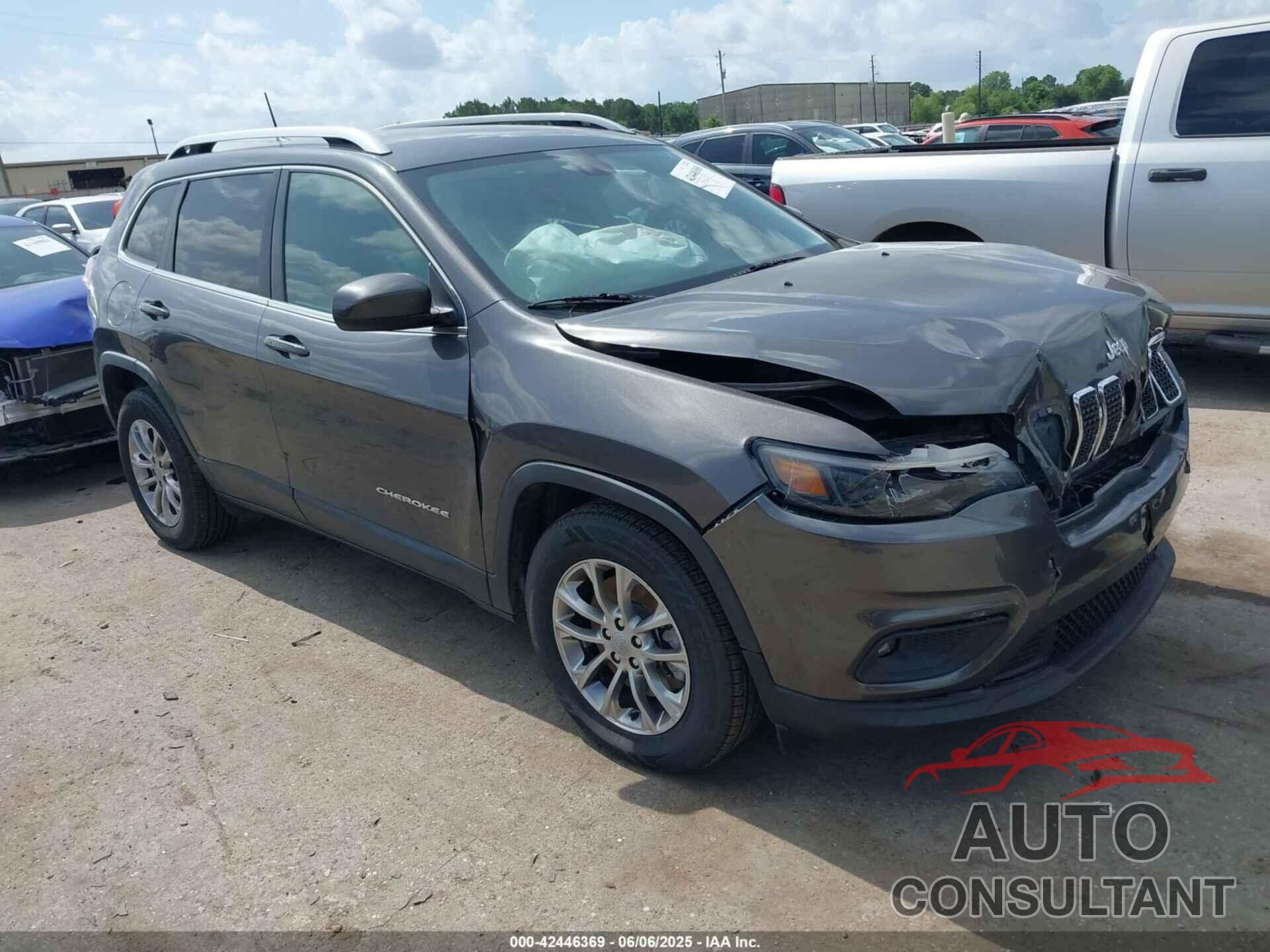 JEEP CHEROKEE 2019 - 1C4PJLLB1KD172060
