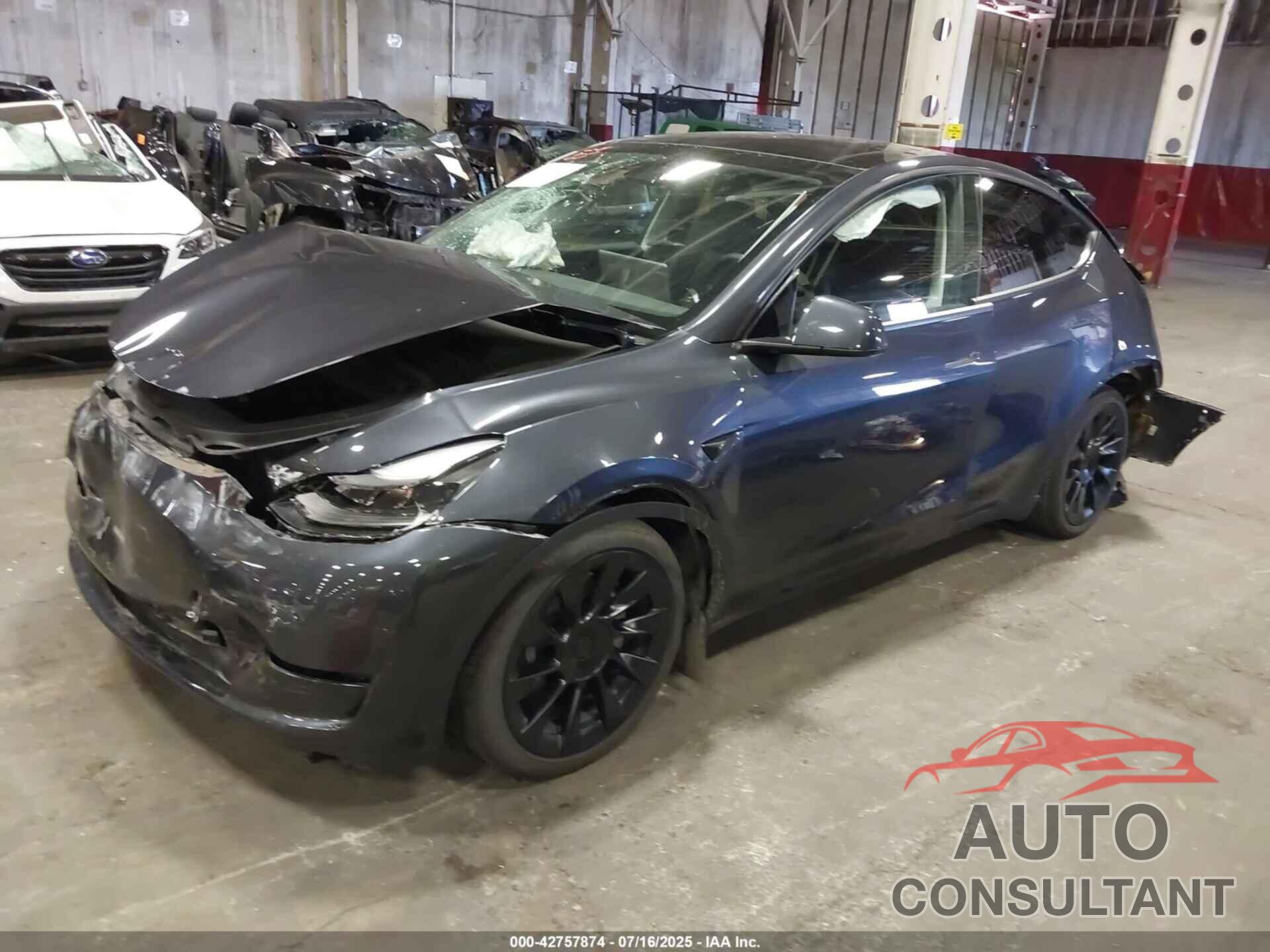 TESLA MODEL Y 2024 - 7SAYGAEE2RF071436