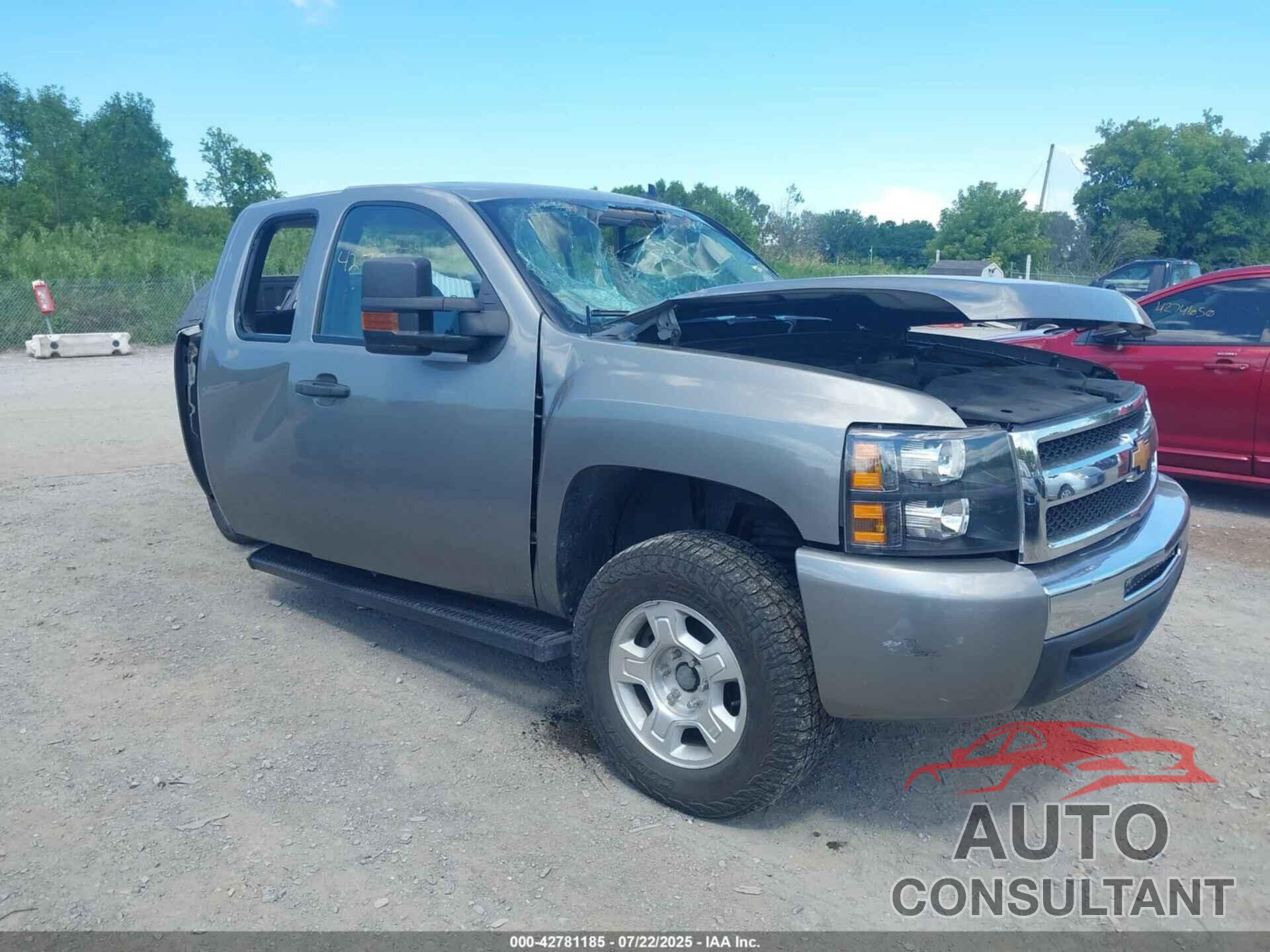 CHEVROLET SILVERADO 1500 2009 - 1GCEK29019Z156376