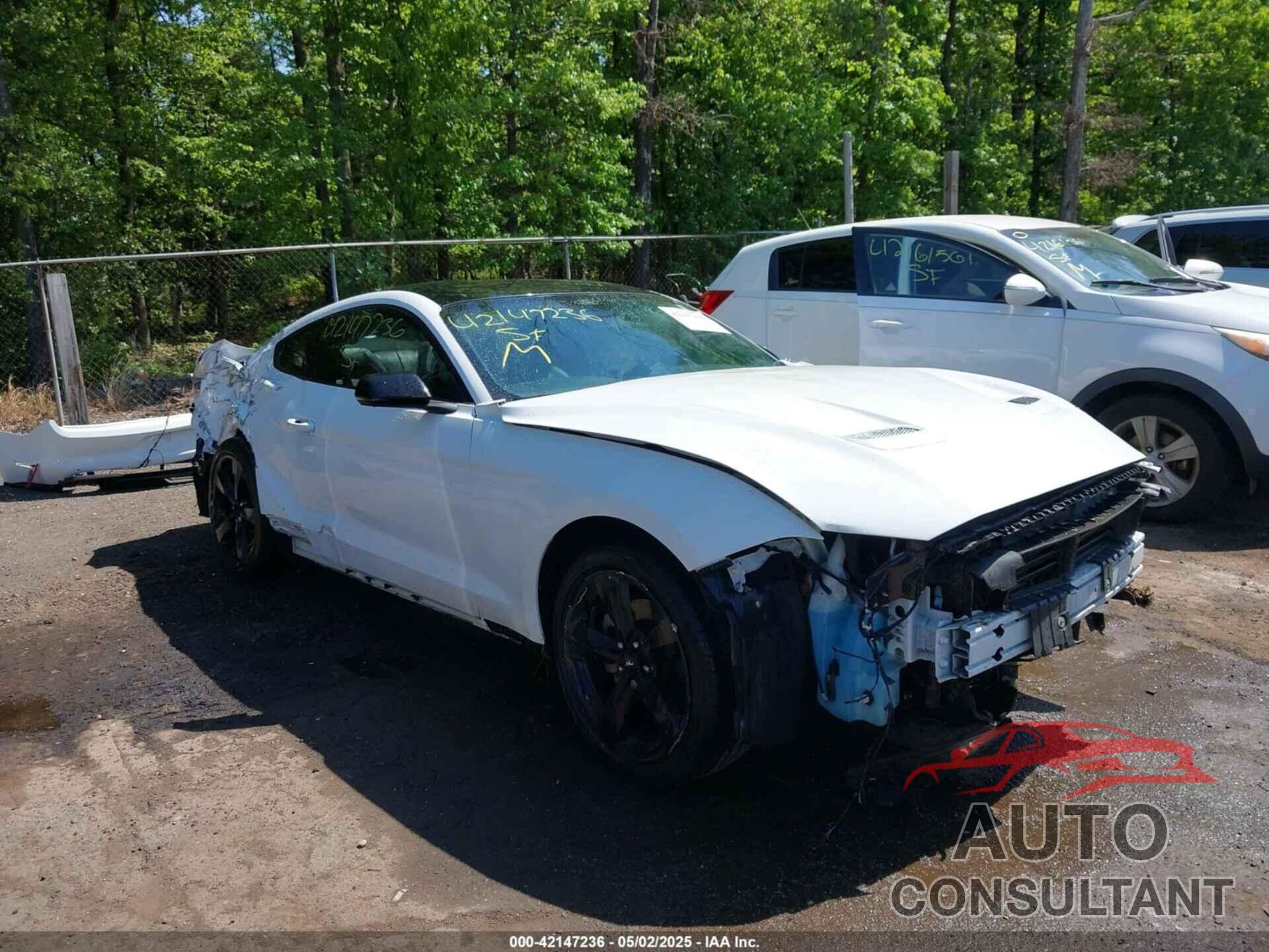 FORD MUSTANG 2021 - 1FA6P8TH6M5148562