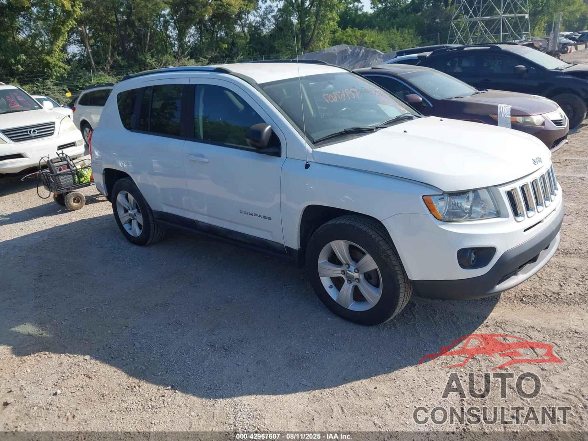 JEEP COMPASS 2011 - 1J4NF1FBXBD145636