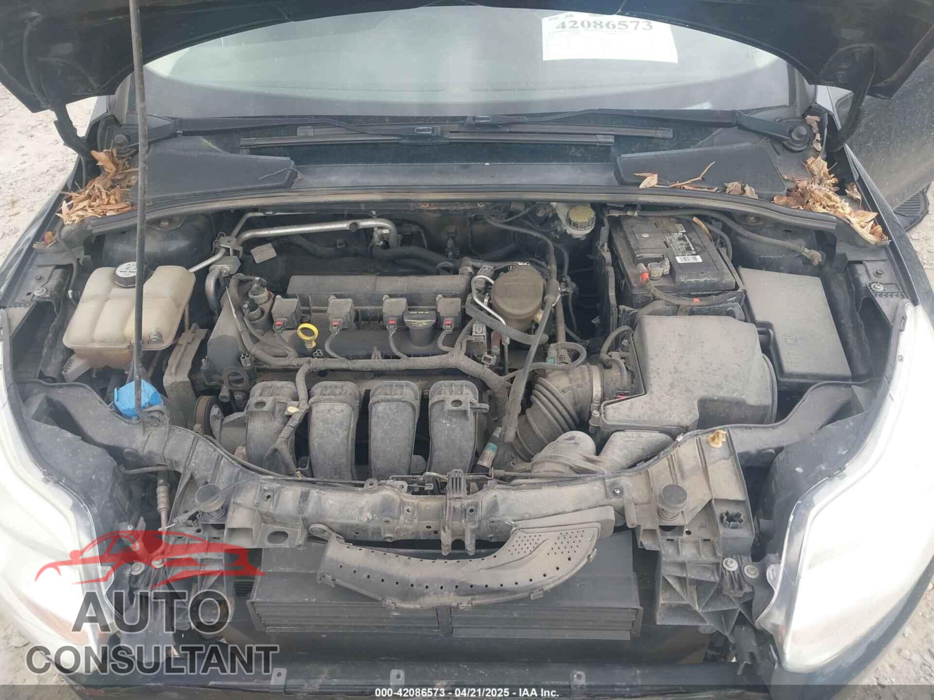 FORD FOCUS 2013 - 1FADP3F25DL209199