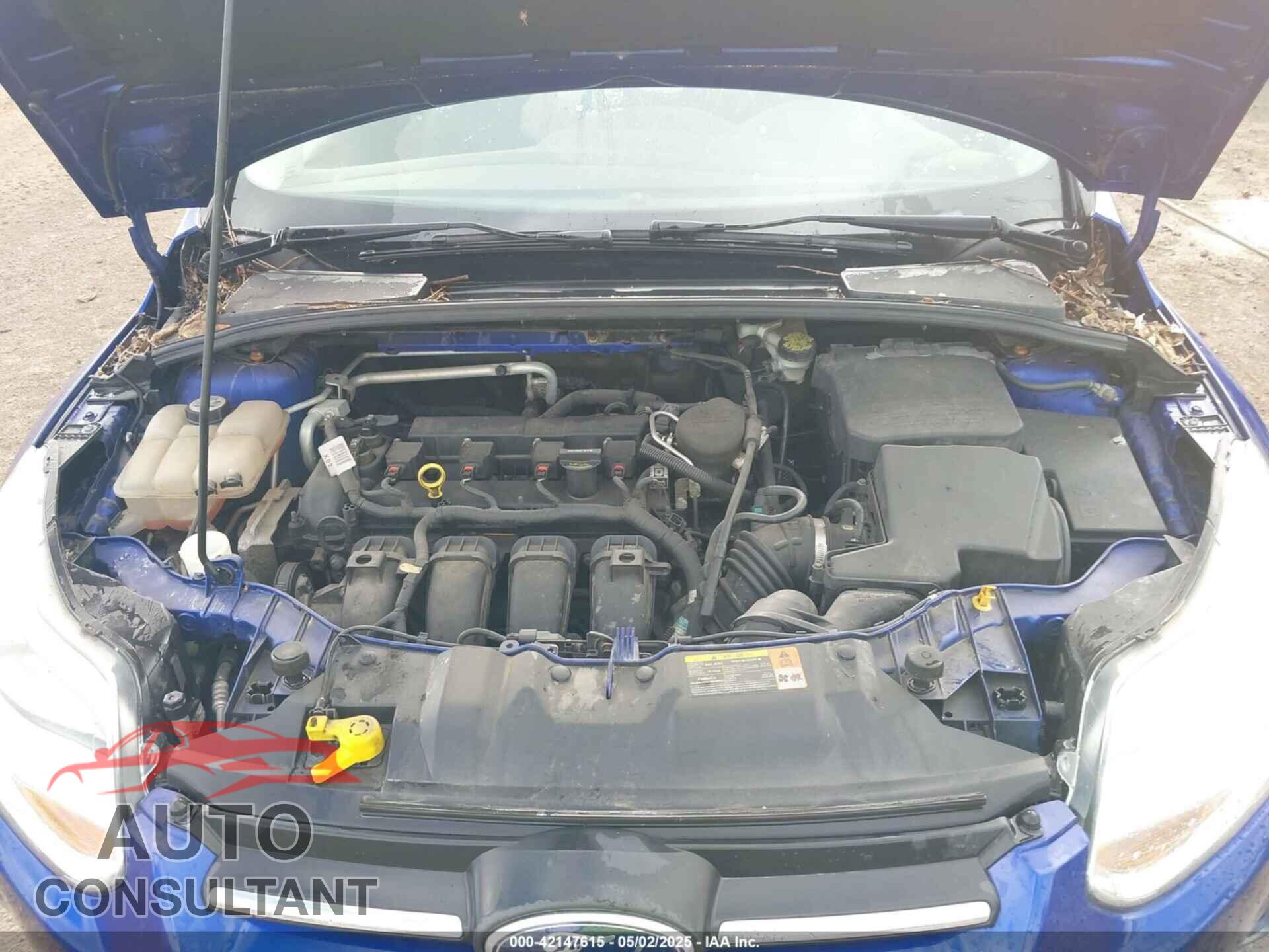FORD FOCUS 2013 - 1FADP3F26DL105501