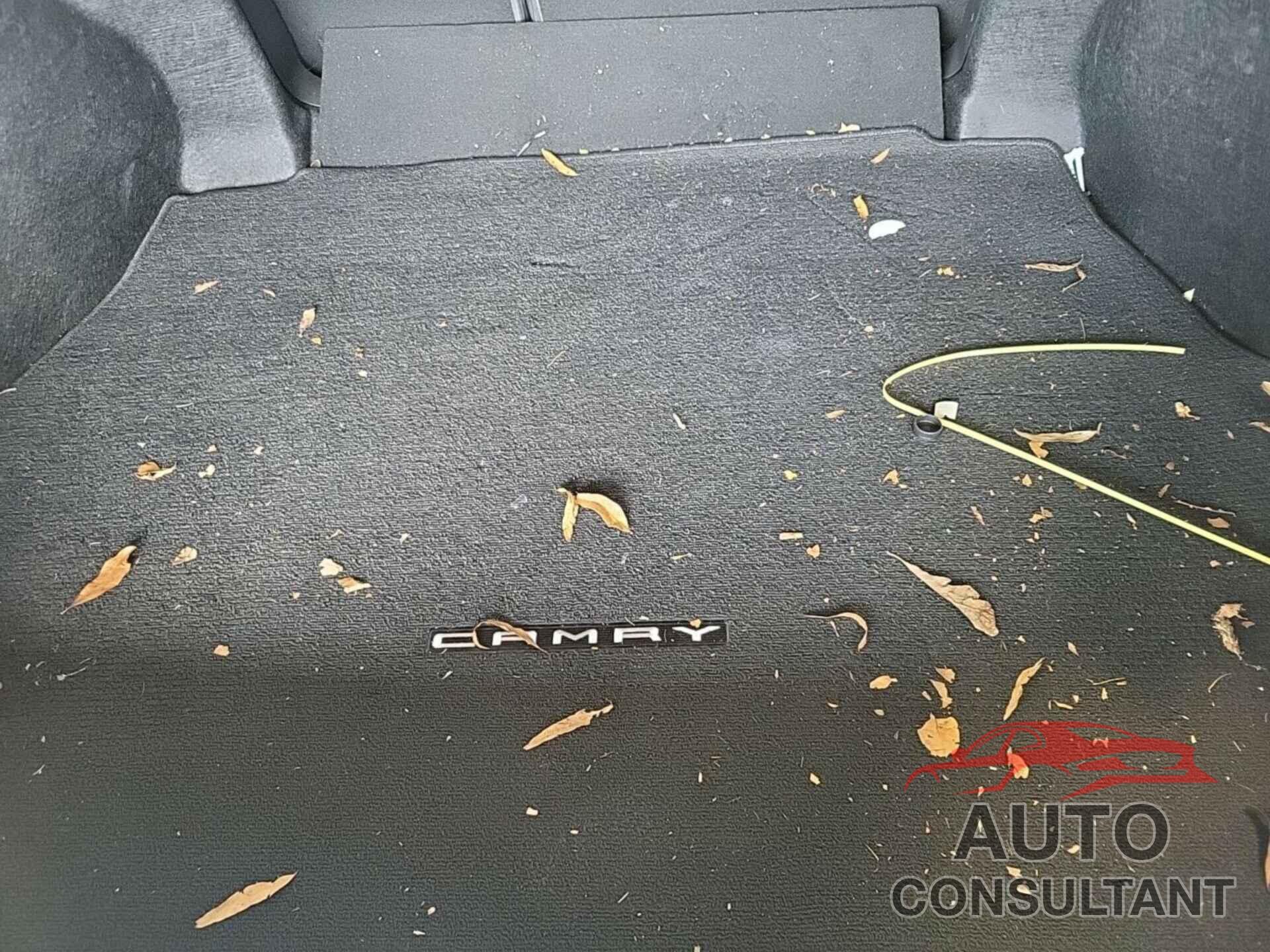 TOYOTA CAMRY 2019 - 4T1B31HK9KU514044