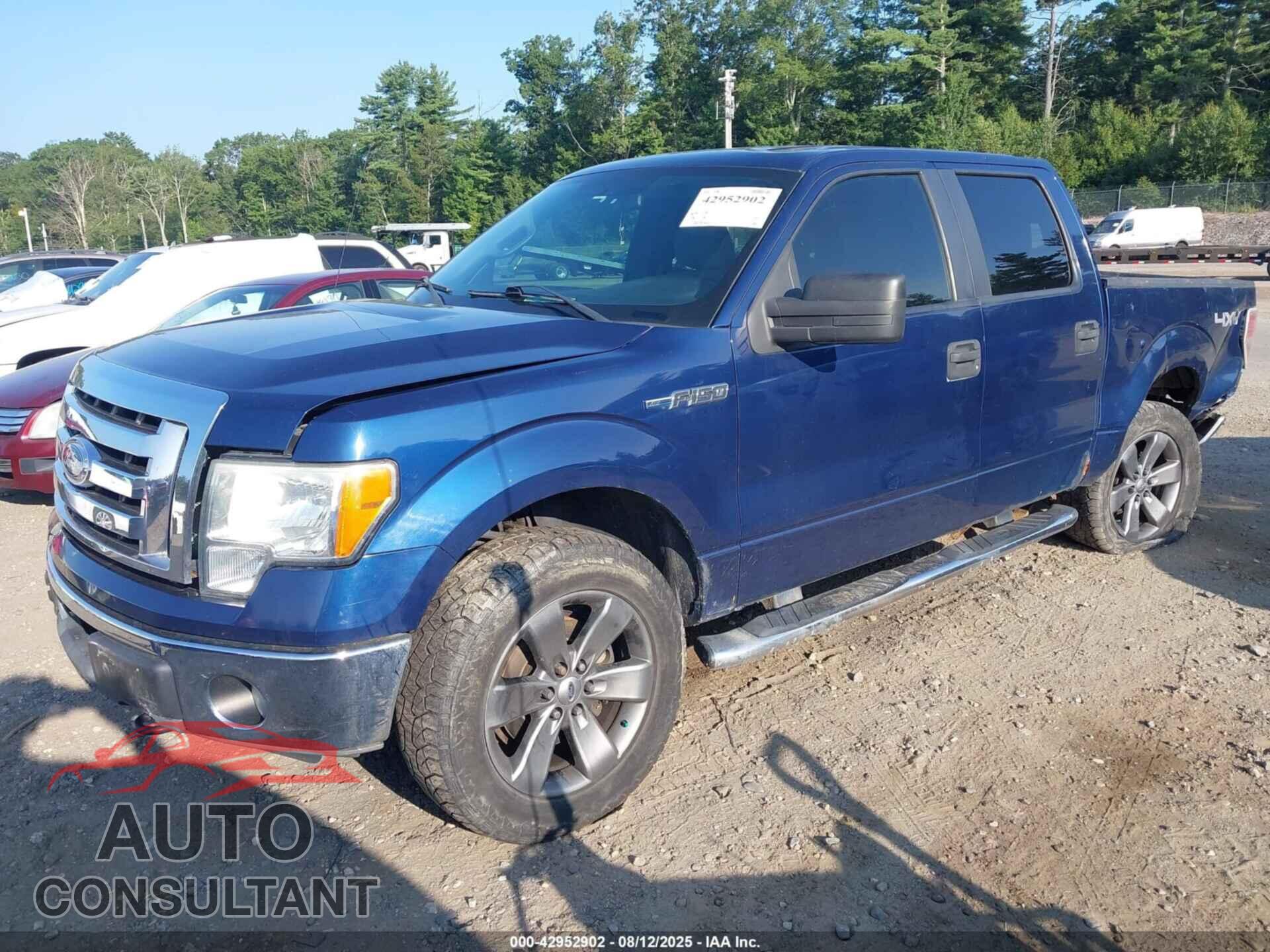 FORD F-150 2011 - 1FTFW1EF4BFB85200