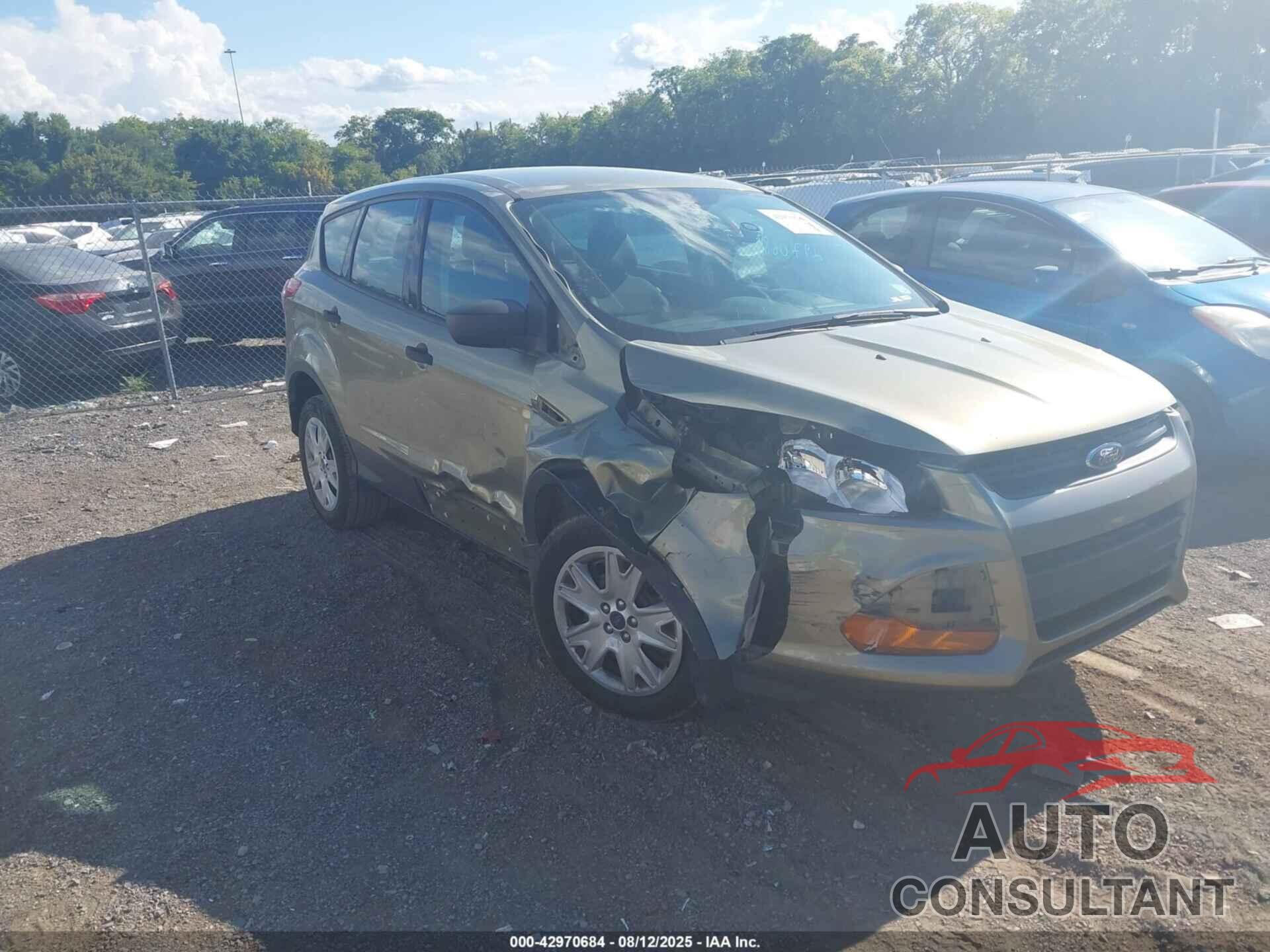 FORD ESCAPE 2013 - 1FMCU0F70DUB30389