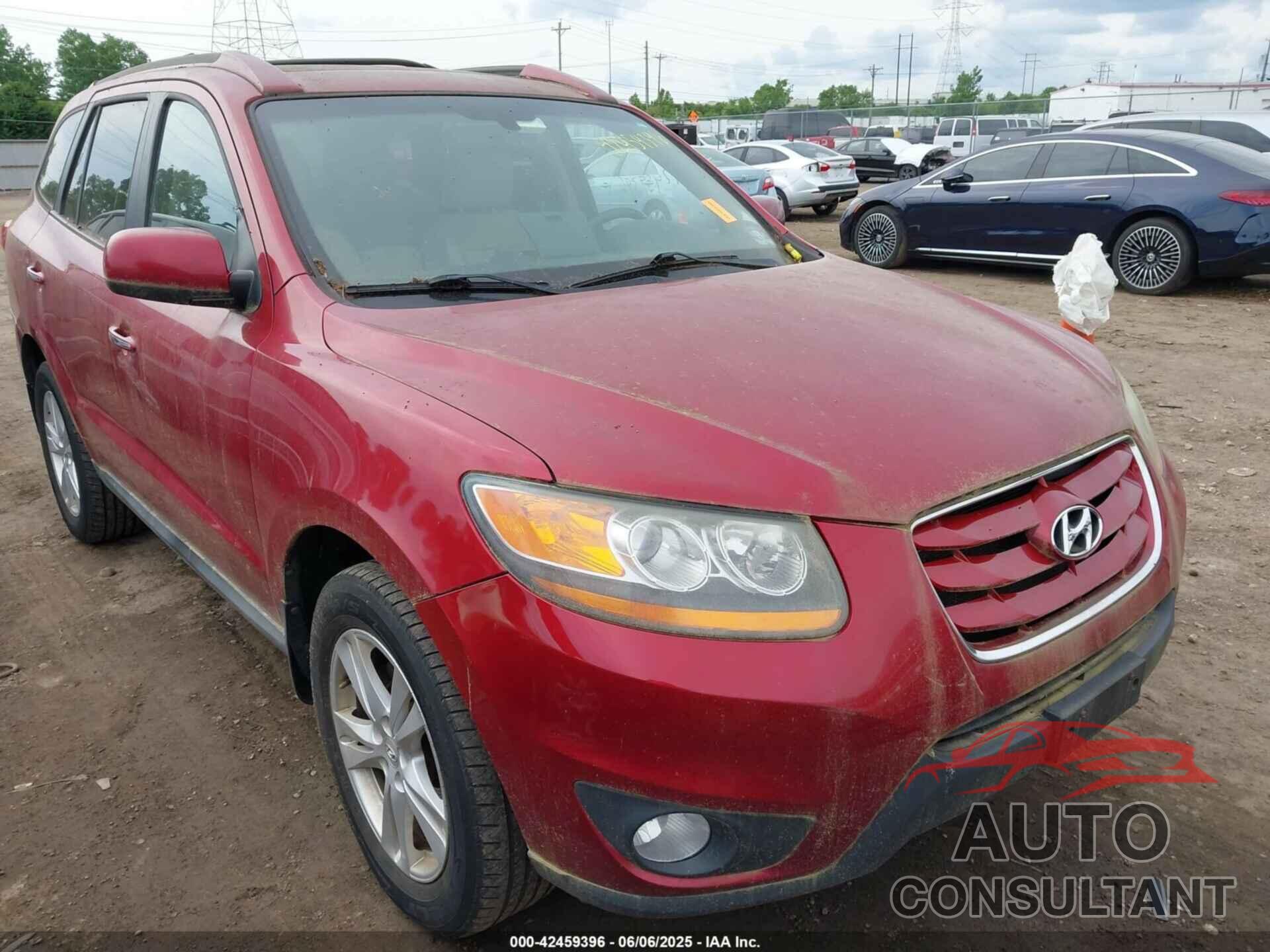 HYUNDAI SANTA FE 2010 - 5NMSKDAG2AH355503