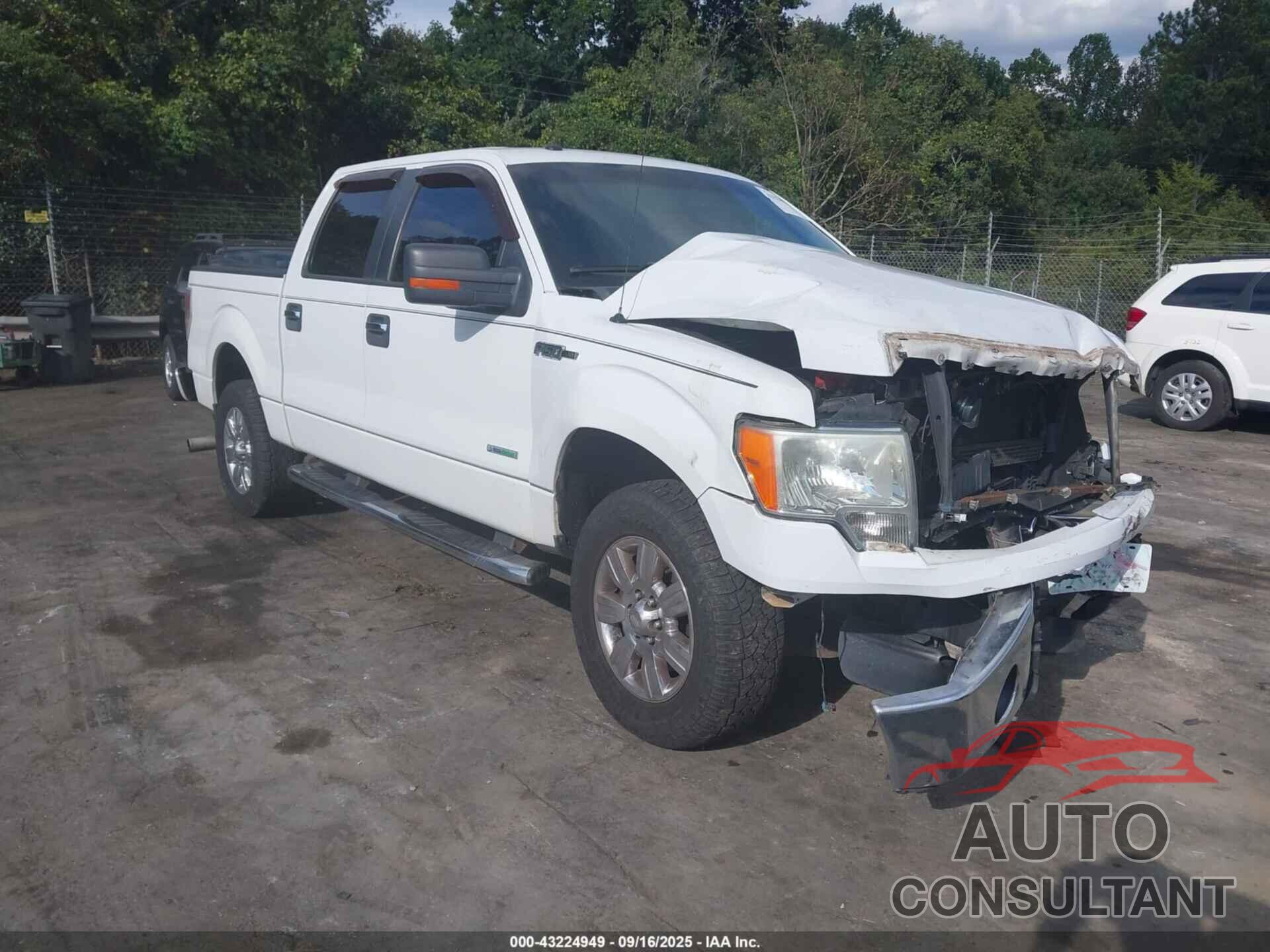 FORD F-150 2011 - 1FTFW1ET7BFC26635