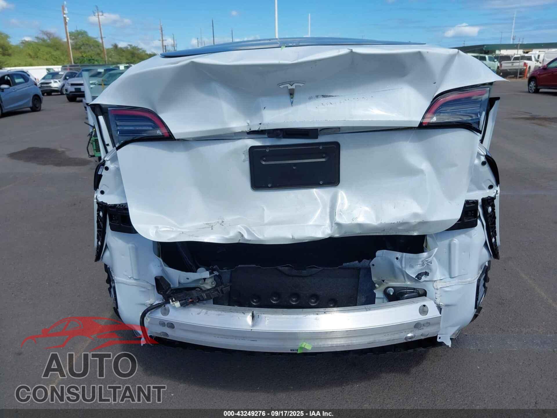 TESLA MODEL Y 2024 - 7SAYGDED2RF157788