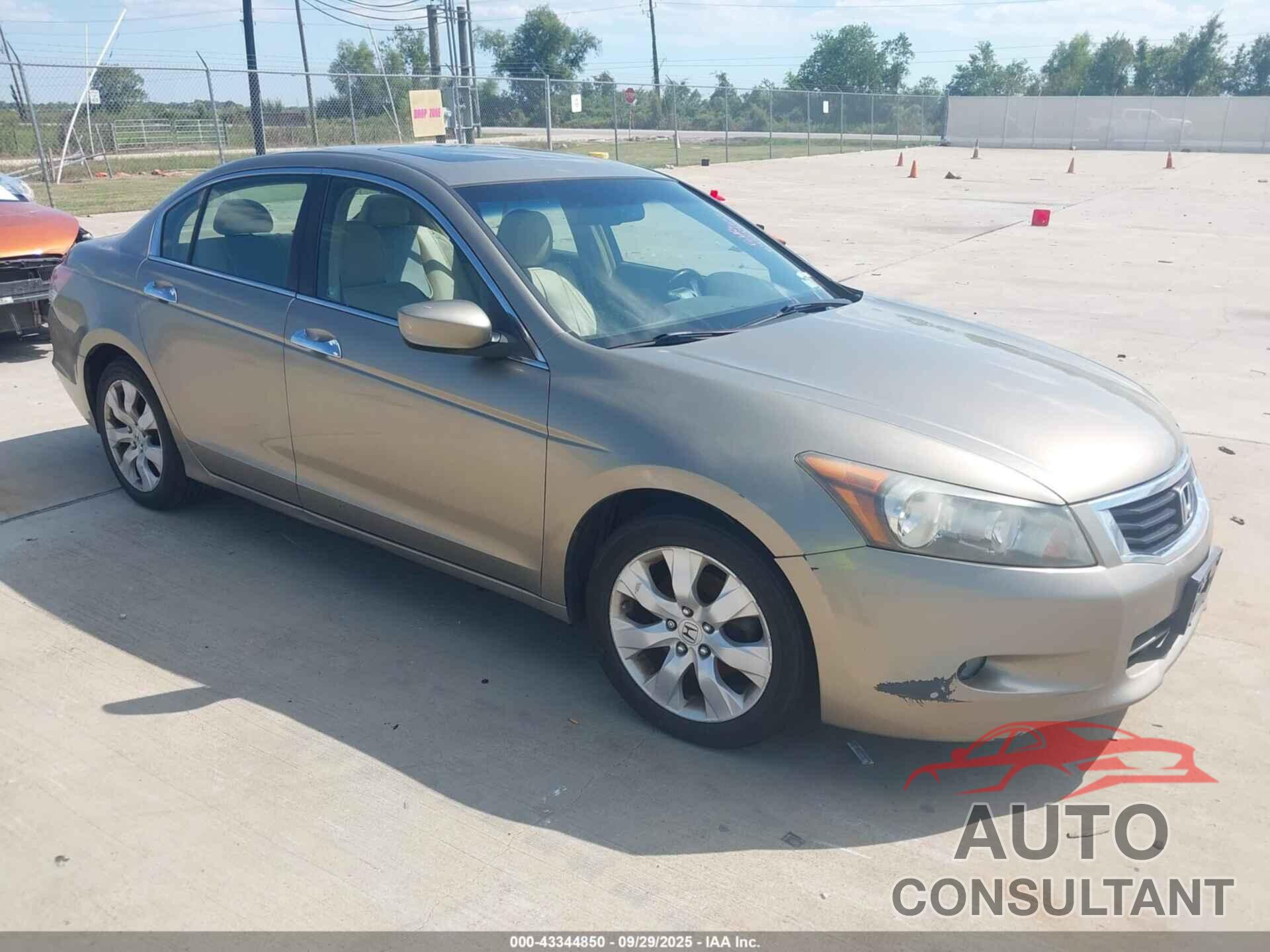 HONDA ACCORD SDN 2009 - 5KBCP36889B502486
