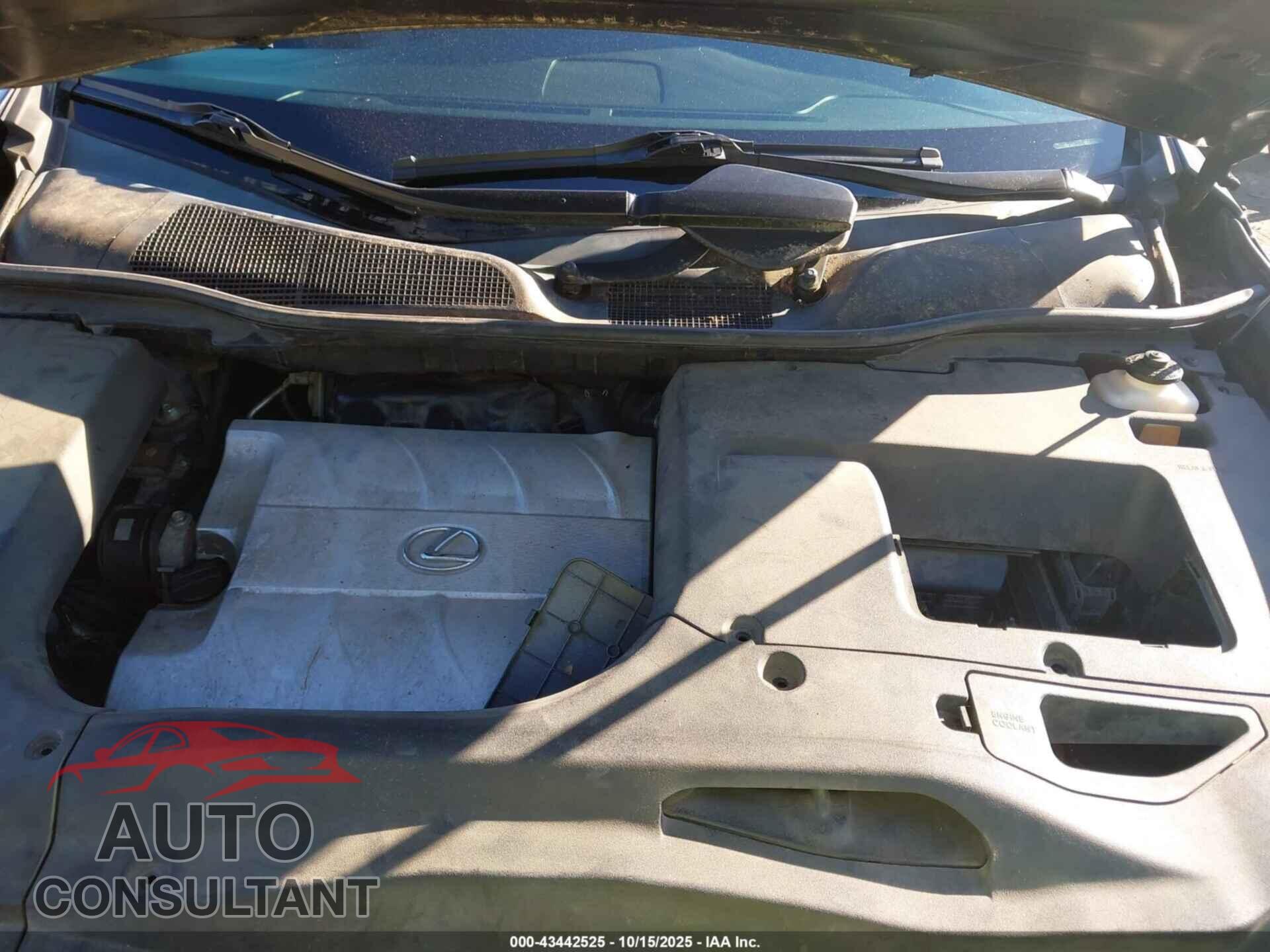 LEXUS RX 350 2010 - 2T2BK1BA8AC061663