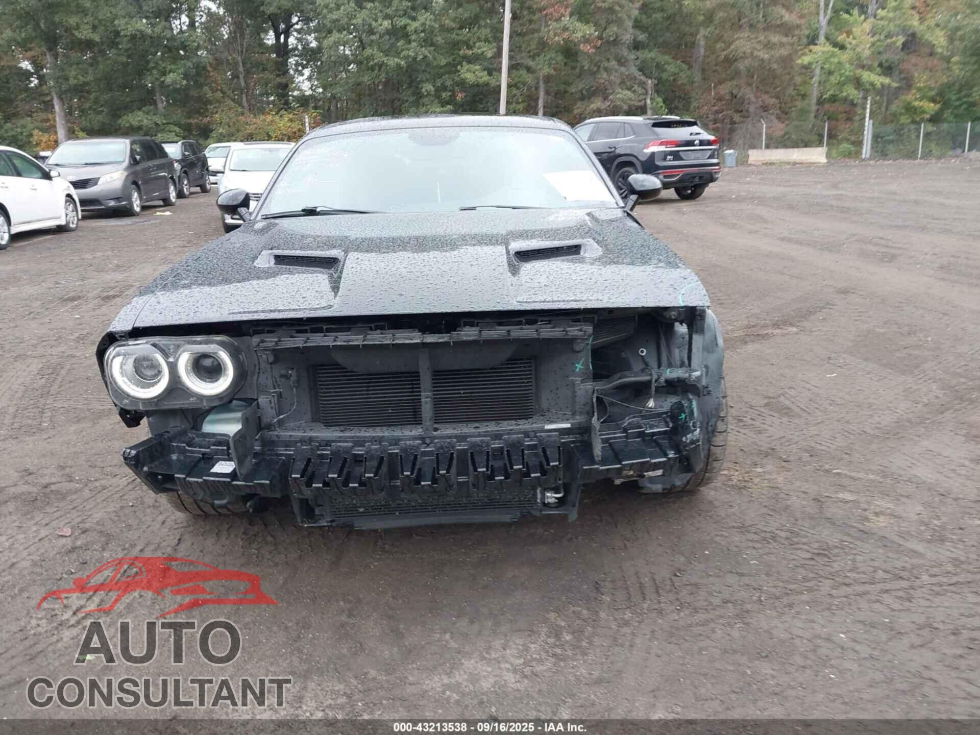 DODGE CHALLENGER 2017 - 2C3CDZAG4HH639737