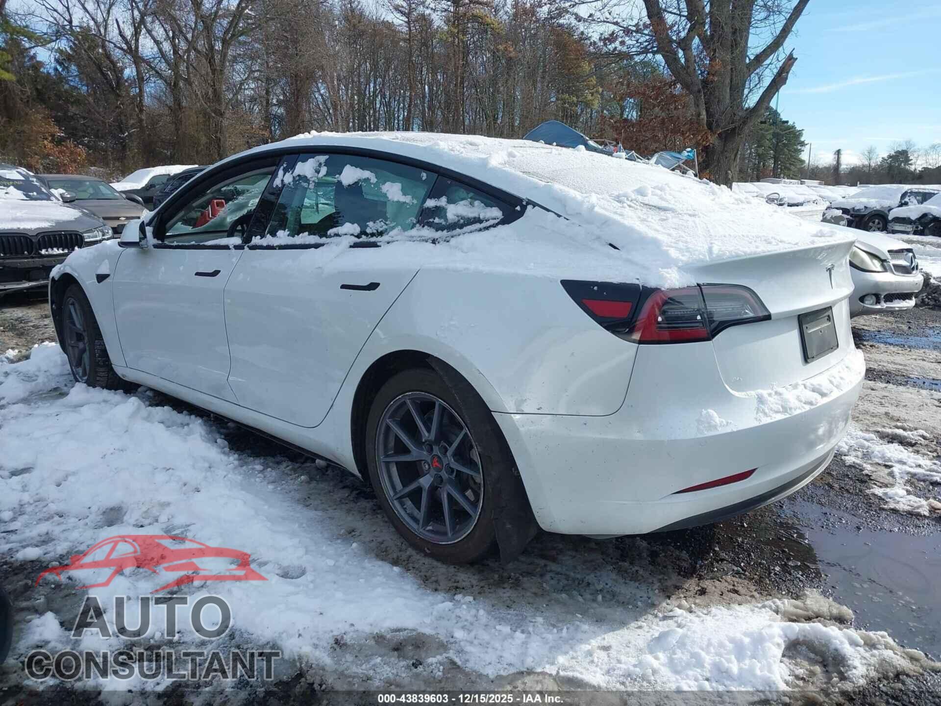 TESLA MODEL 3 2021 - 5YJ3E1EA7MF855078