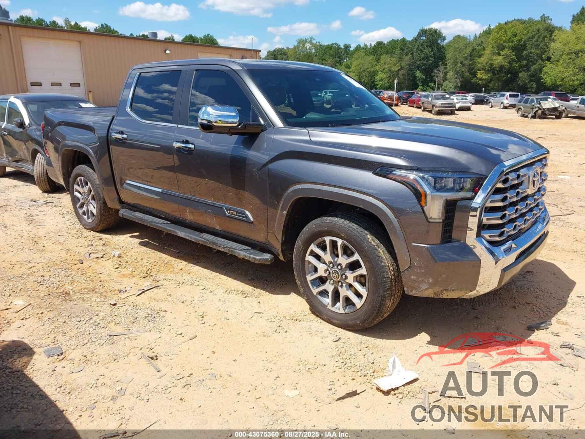 TOYOTA TUNDRA 2024 - 5TFMA5DB5RX191538