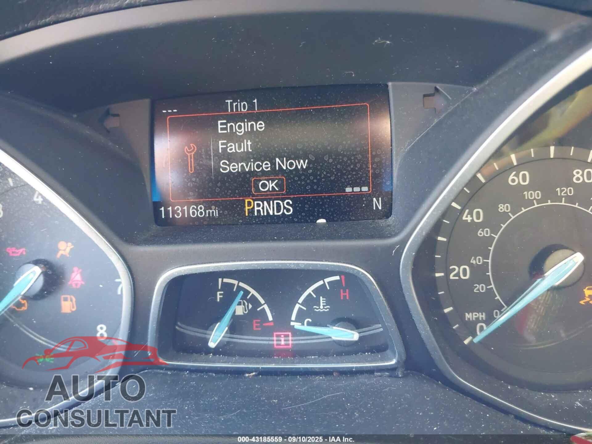 FORD FOCUS 2017 - 1FADP3H26HL253991