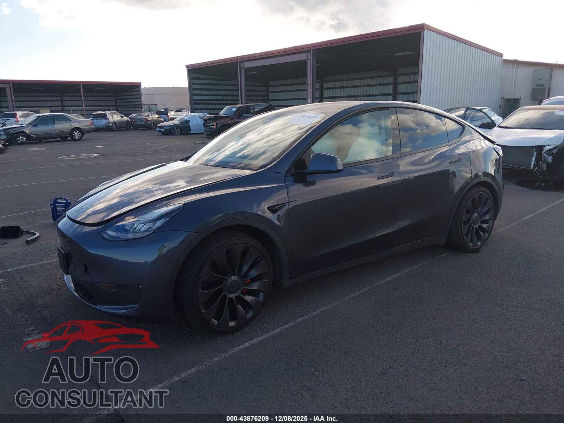 TESLA MODEL Y 2021 - 5YJYGDEF7MF079421