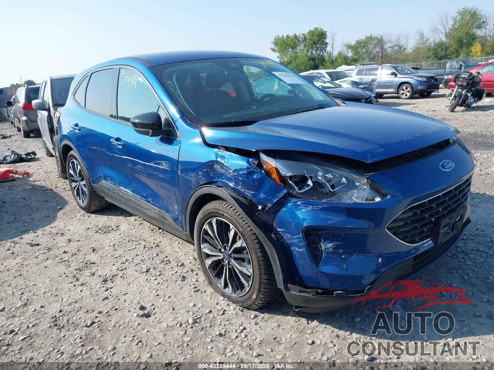 FORD ESCAPE 2022 - 1FMCU9G68NUA35851