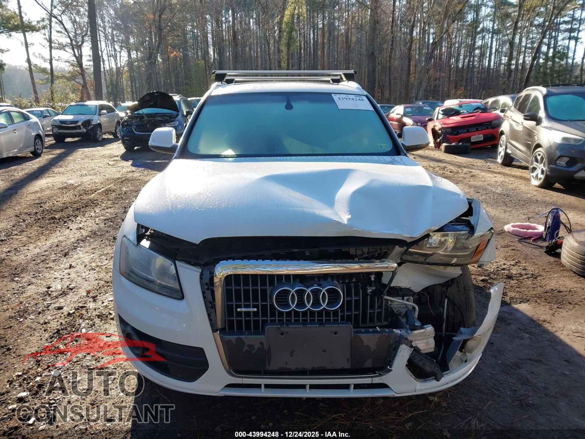 AUDI Q5 2012 - WA1CFAFP8CA051499
