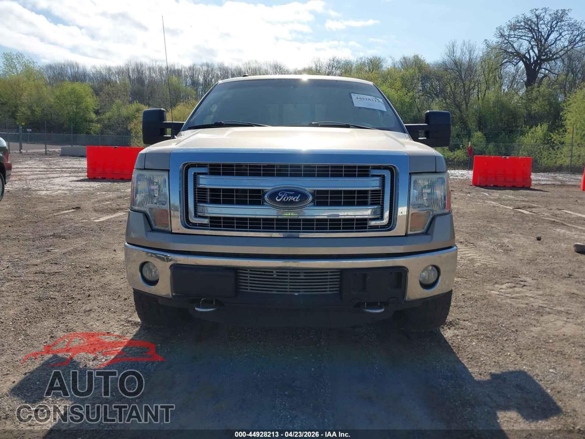 FORD F-150 2013 - 1FTFX1ET8DFA34026