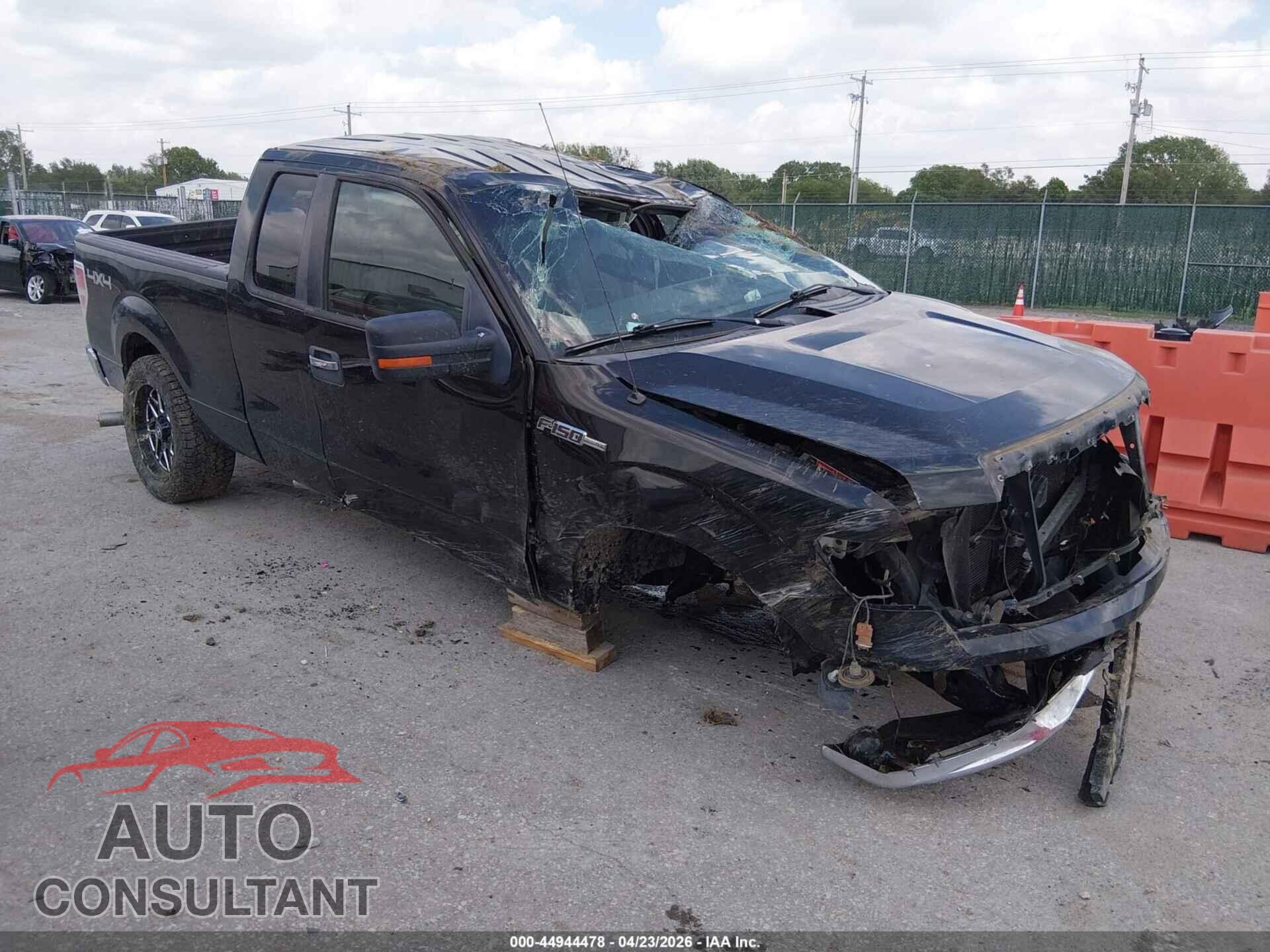 FORD F-150 2011 - 1FTFX1EF8BFB62029