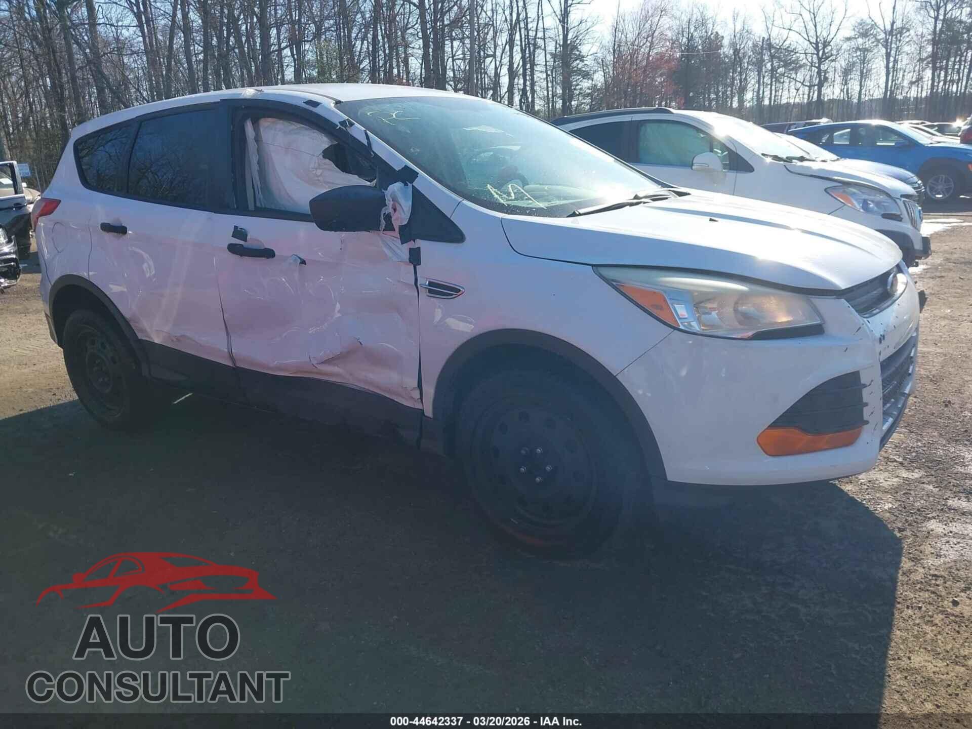 FORD ESCAPE 2013 - 1FMCU0F76DUD79781