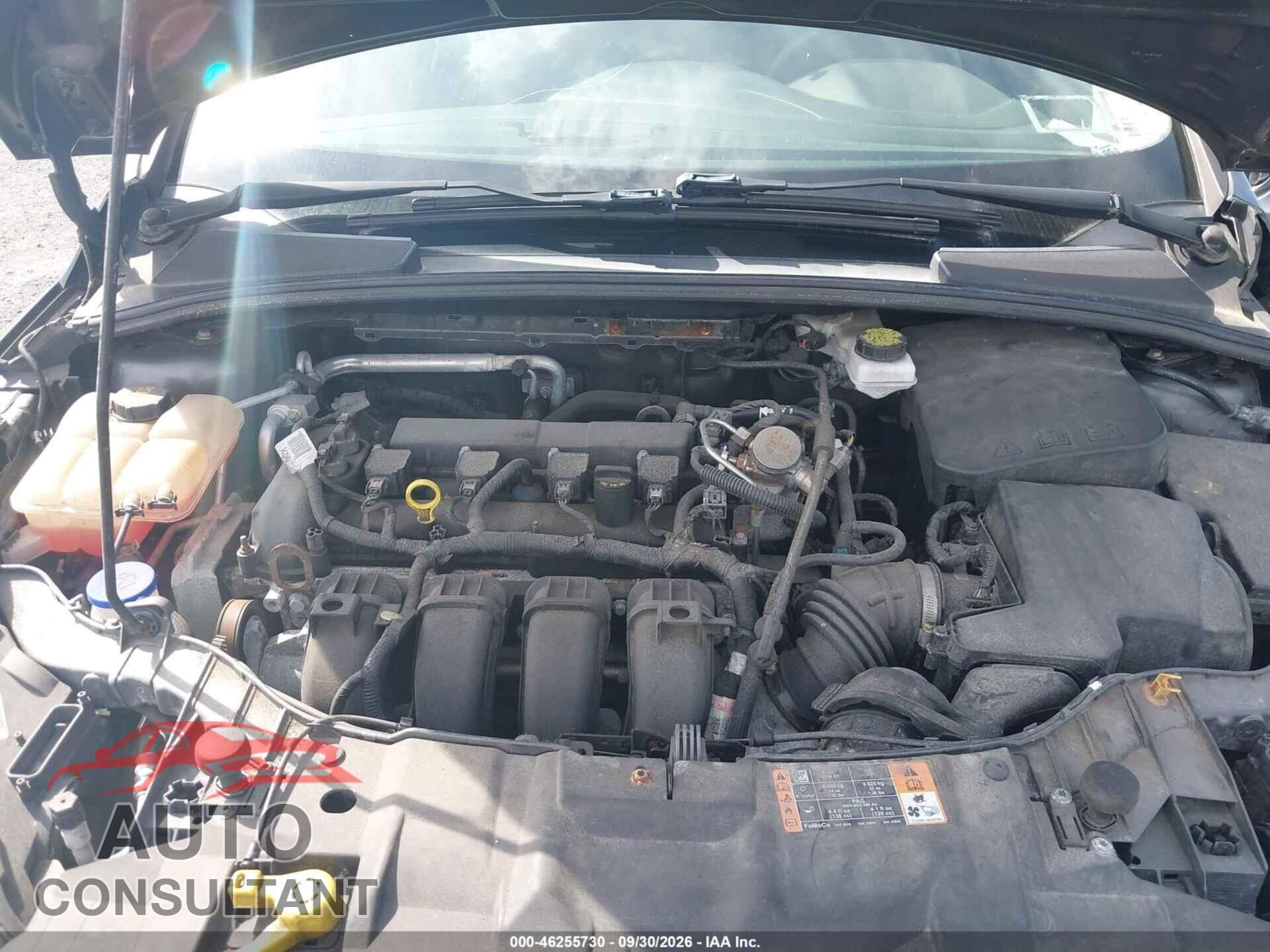 FORD FOCUS 2017 - 1FADP3E29HL321835