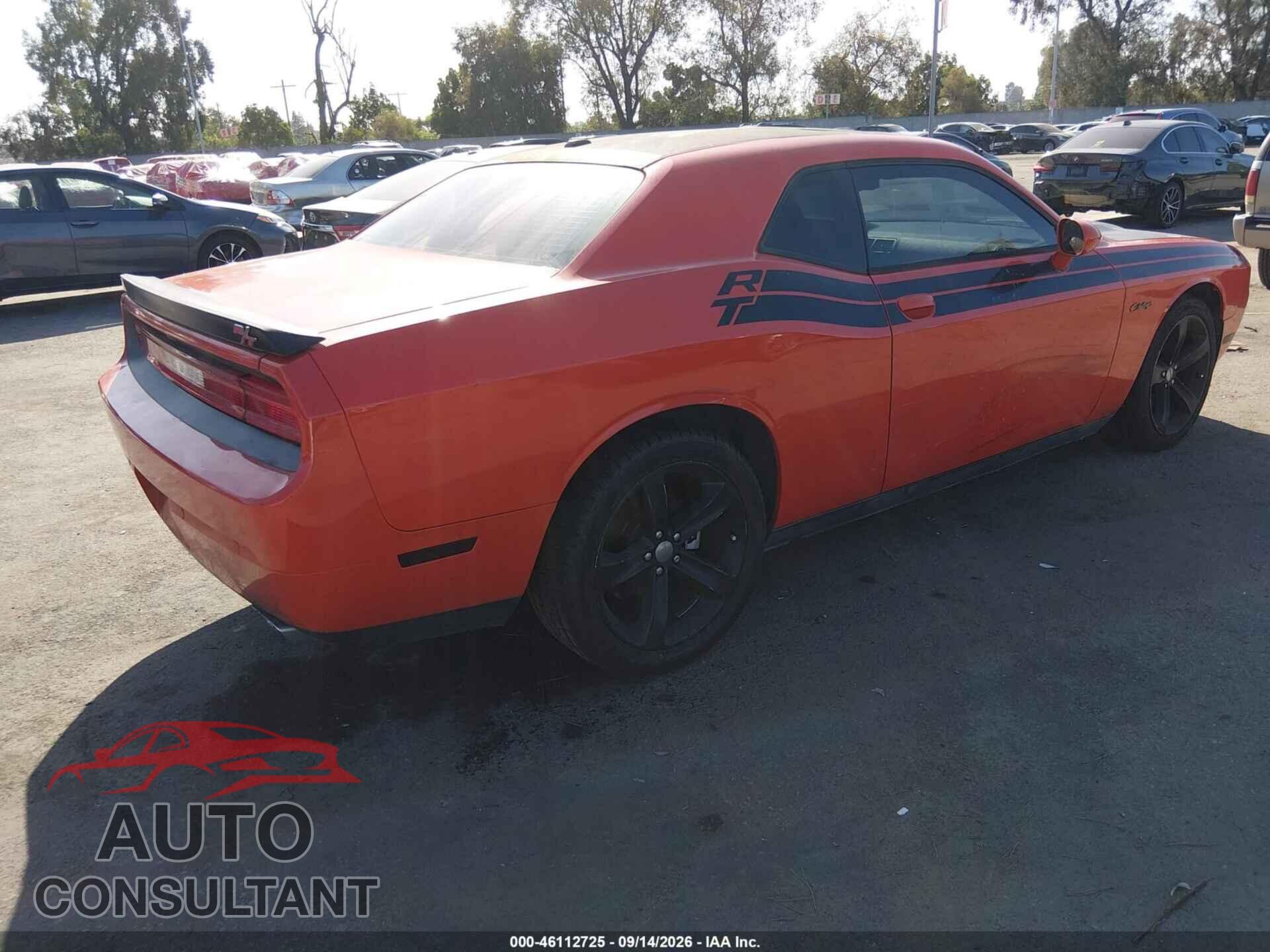 DODGE CHALLENGER 2013 - 2C3CDYBT7DH733580