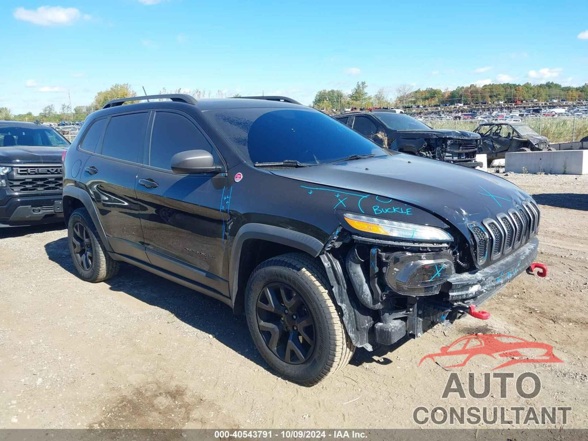 JEEP GRAND CHEROKEE 2019 - 1C4RJFBG2KC591581