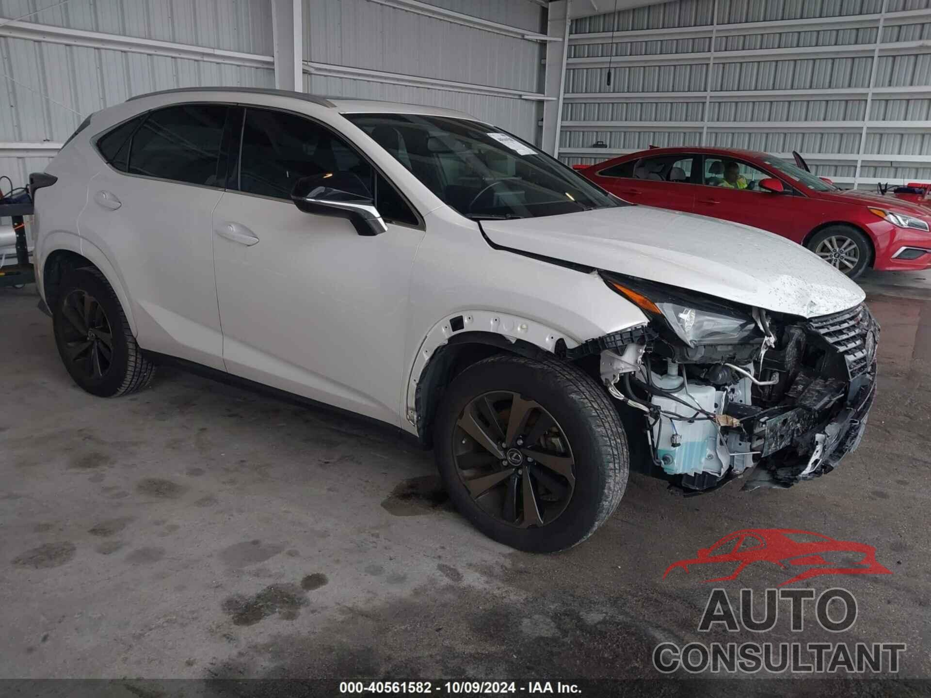 LEXUS NX 300 2020 - JTJGARBZ3L2170127