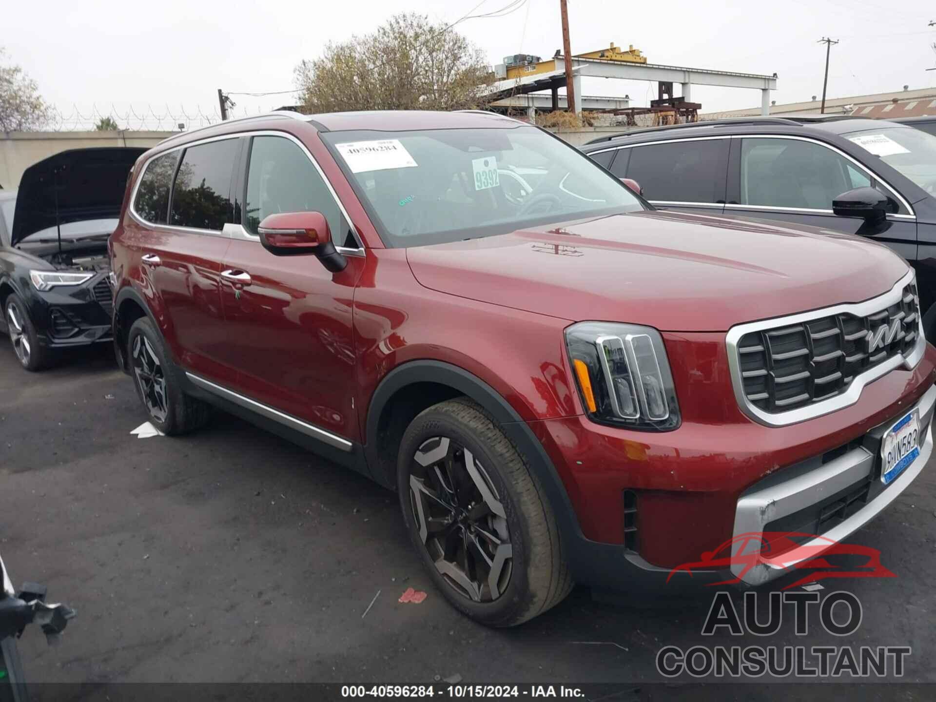 KIA TELLURIDE 2024 - 5XYP64GCXRG423874