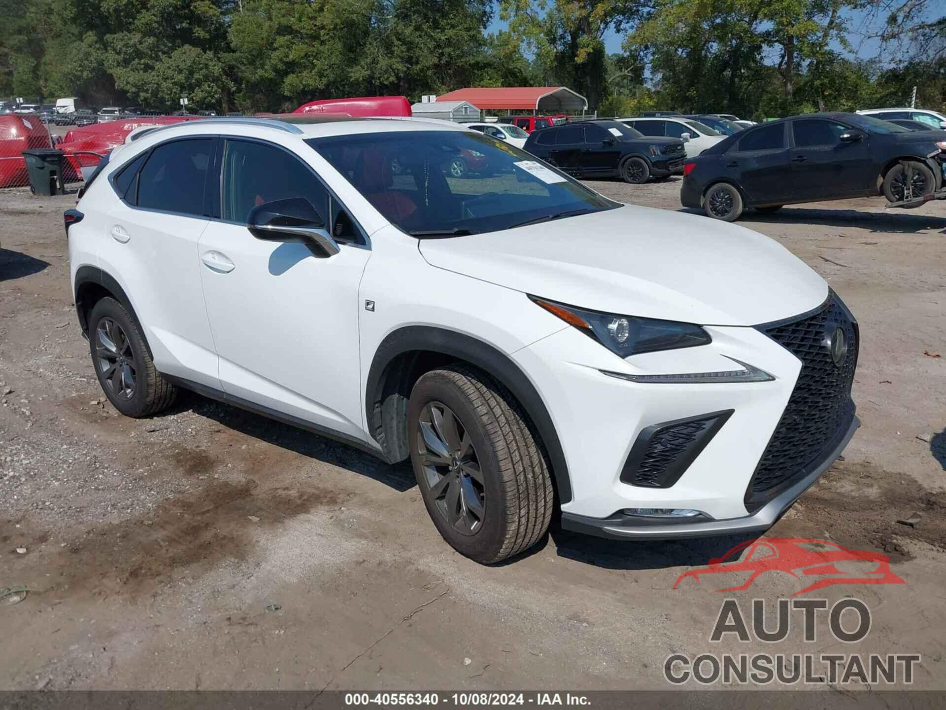 LEXUS NX 300 2019 - JTJYARBZXK2136821