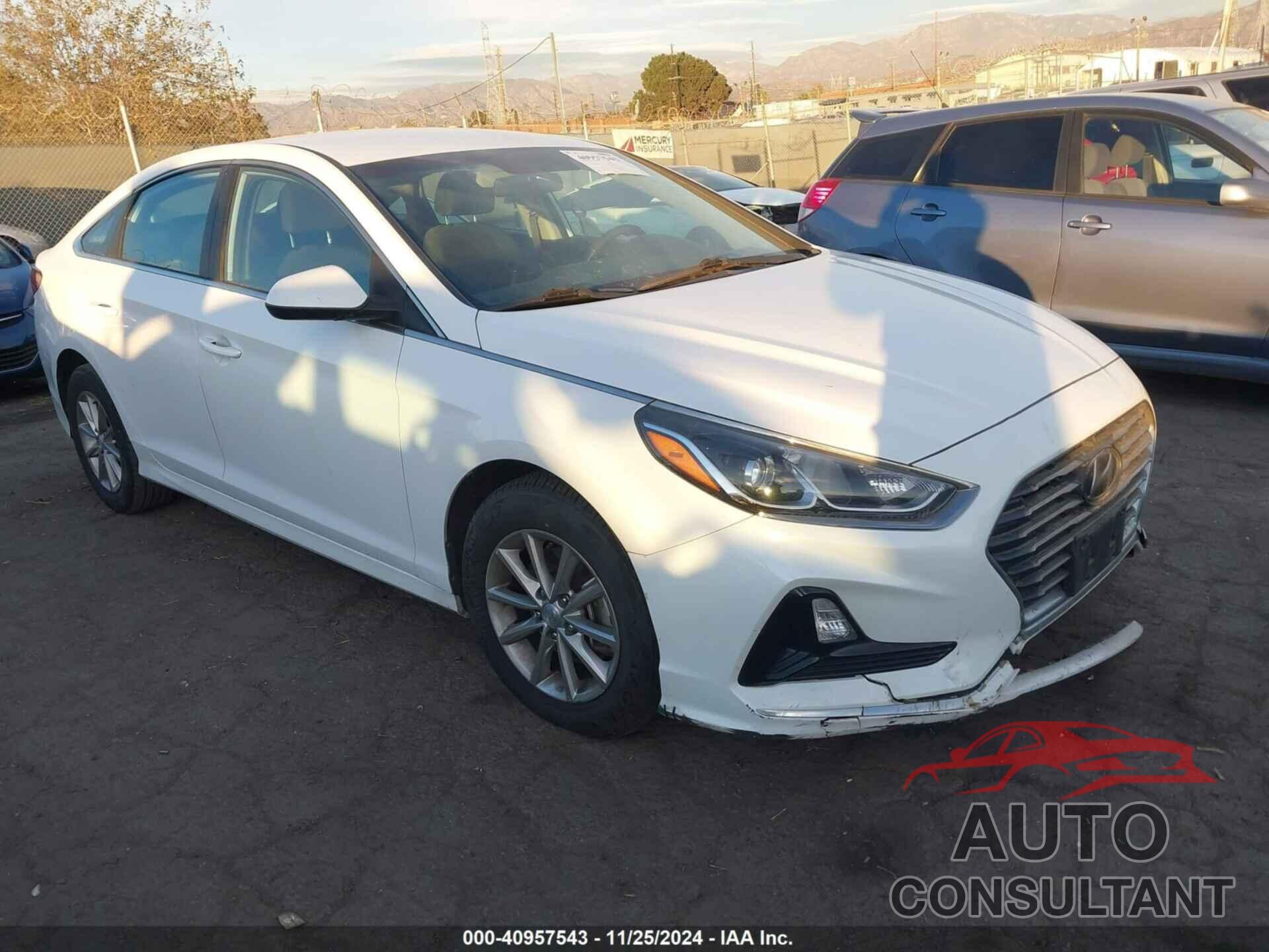 HYUNDAI SONATA 2019 - 5NPE24AF6KH794048