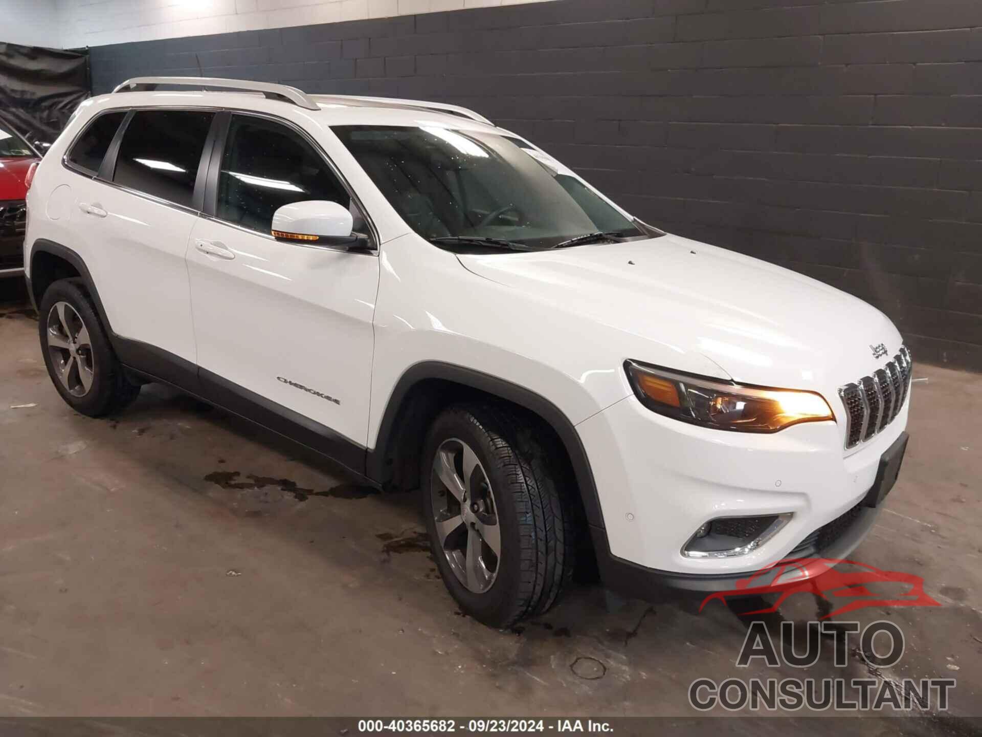 JEEP CHEROKEE 2019 - 1C4PJMDX3KD386158