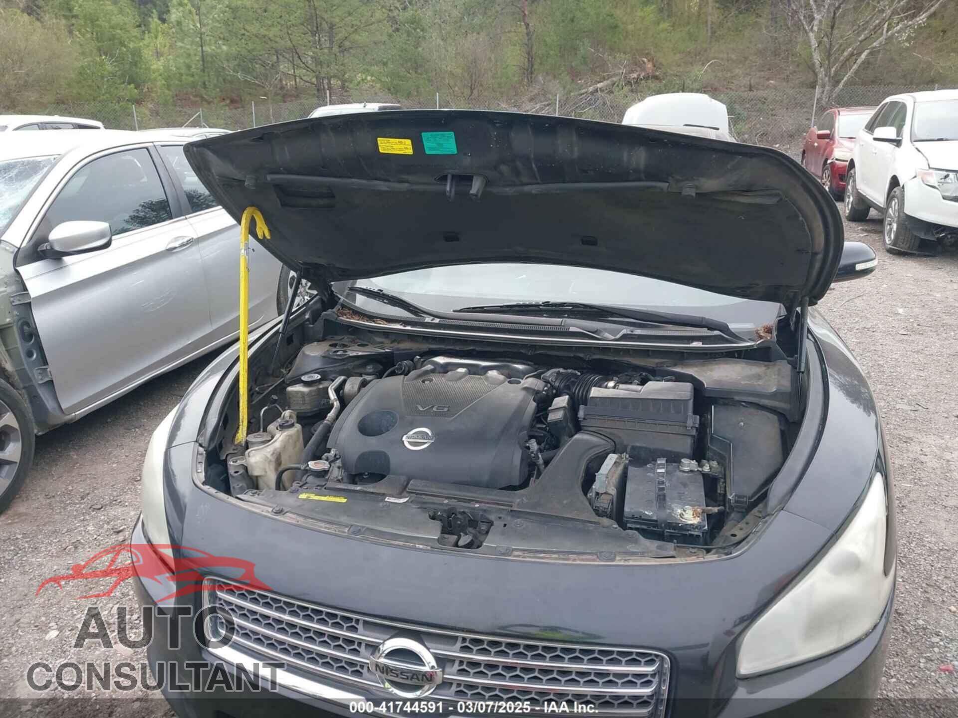 NISSAN MAXIMA 2009 - 1N4AA51E09C832965