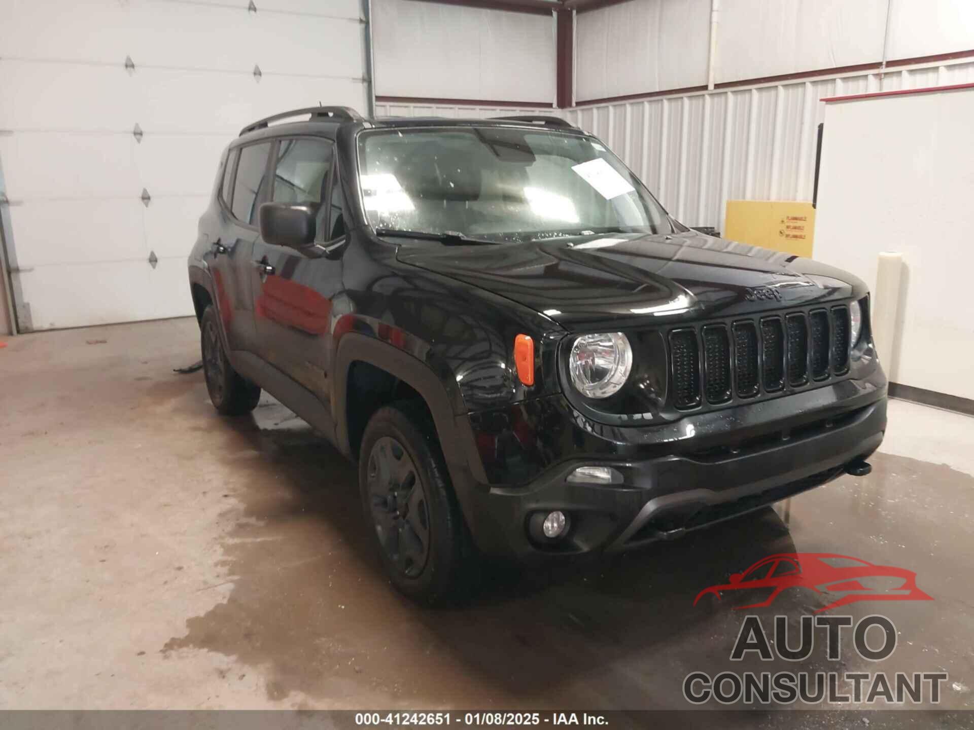 JEEP RENEGADE 2019 - ZACNJBAB7KPK55429