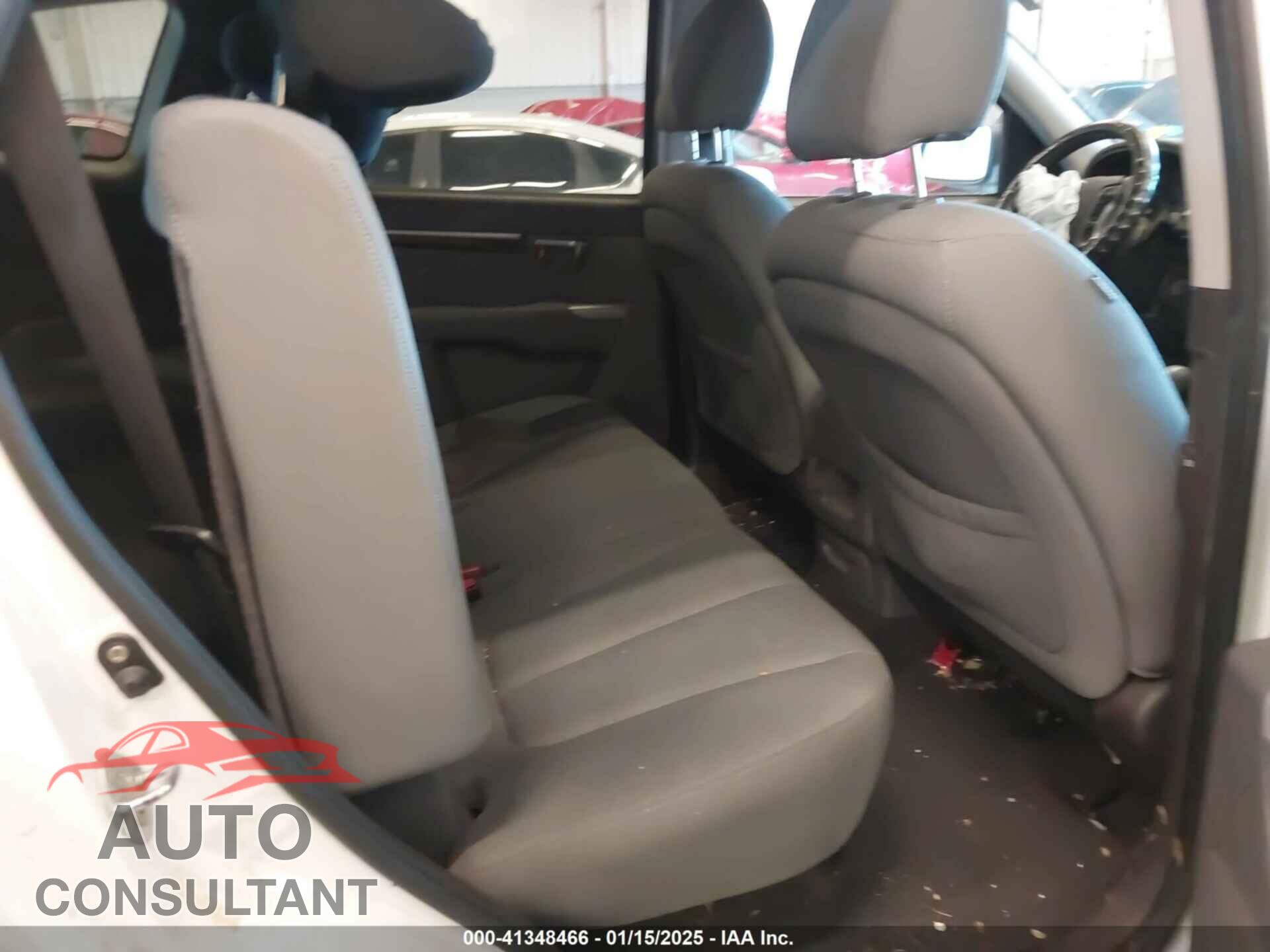 HYUNDAI SANTA FE 2010 - 5NMSGDAB0AH404333