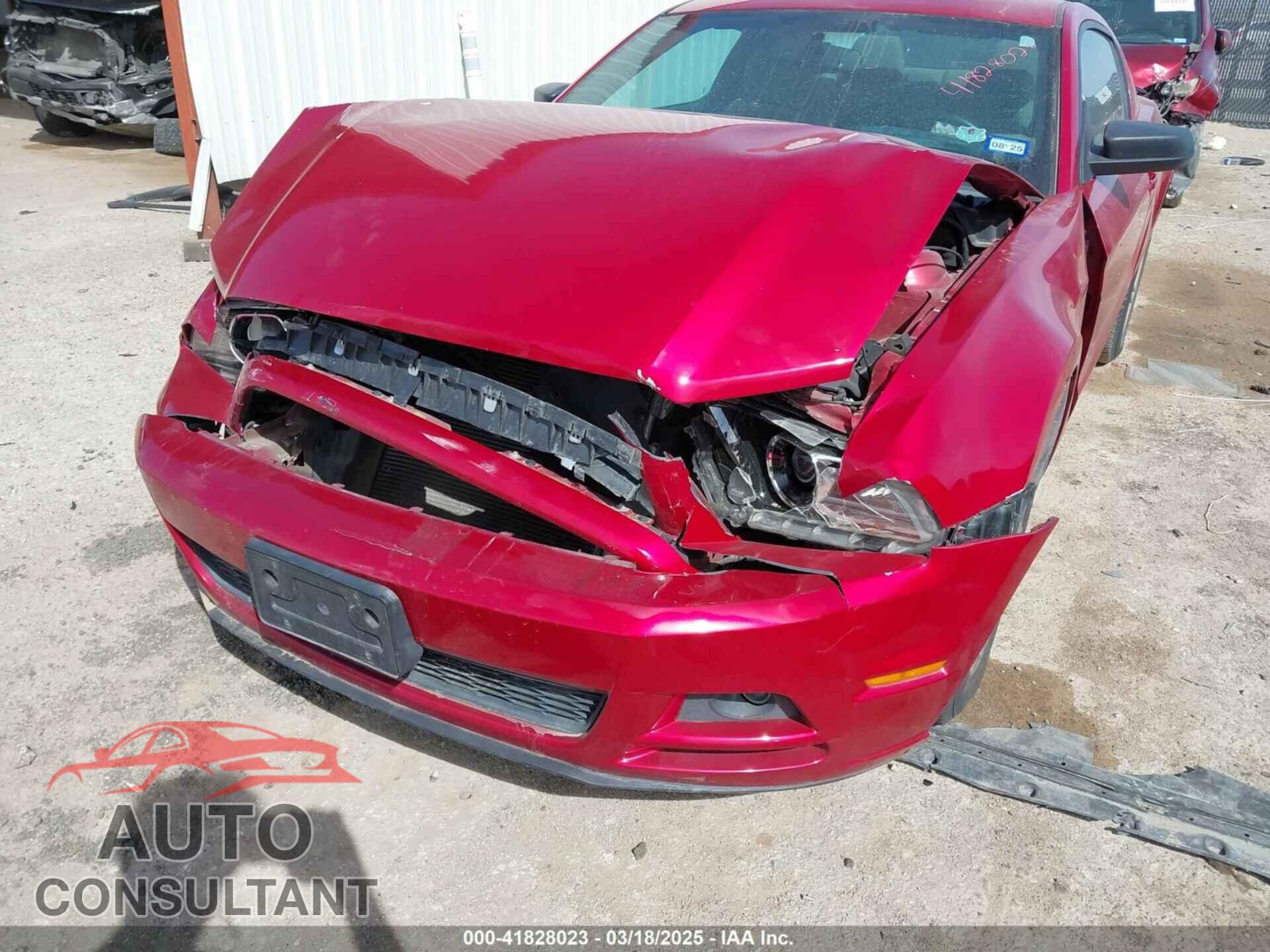 FORD MUSTANG 2013 - 1ZVBP8AM9D5254770