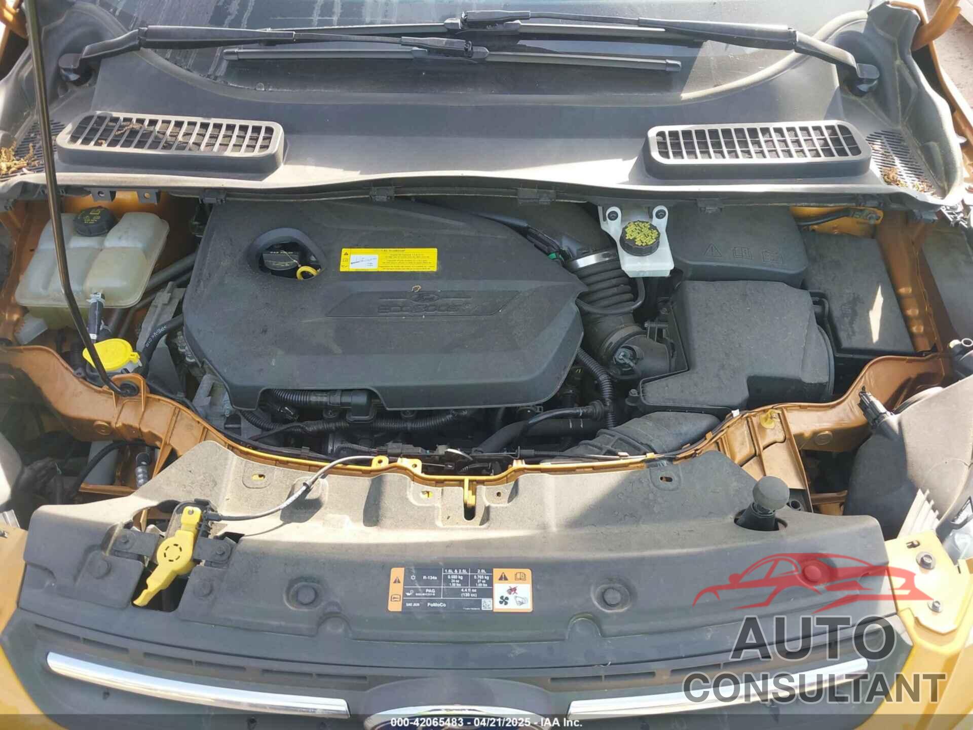 FORD ESCAPE 2016 - 1FMCU0GX1GUC62175