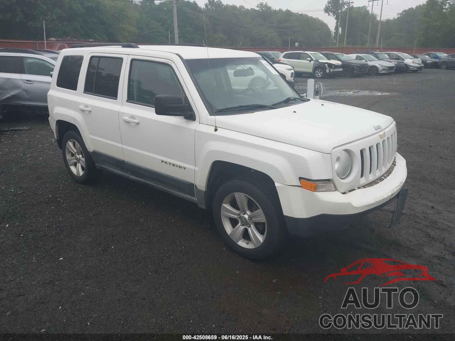 JEEP PATRIOT 2011 - 1J4NF1GB1BD202448