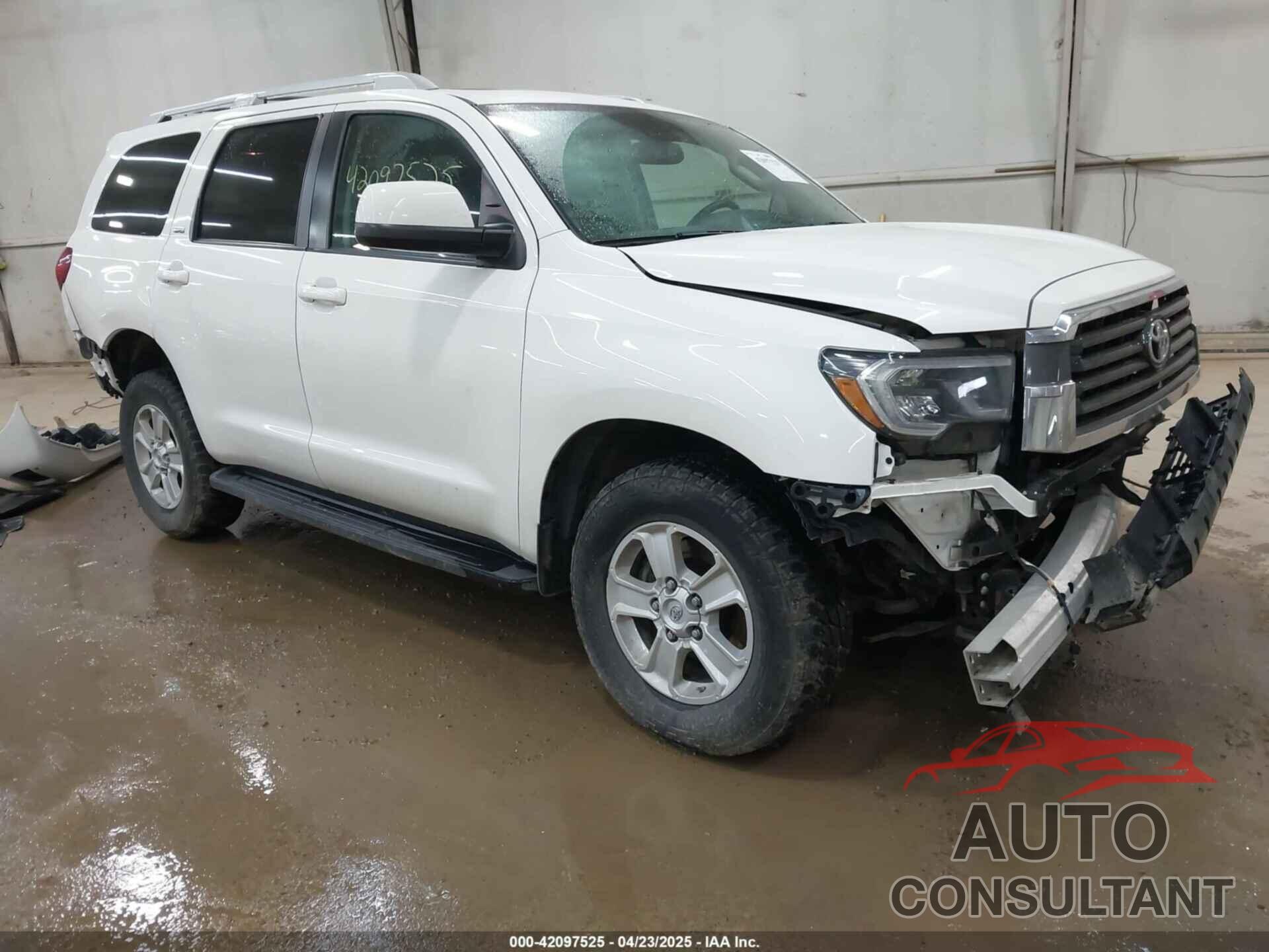 TOYOTA SEQUOIA 2019 - 5TDBY5G11KS166492