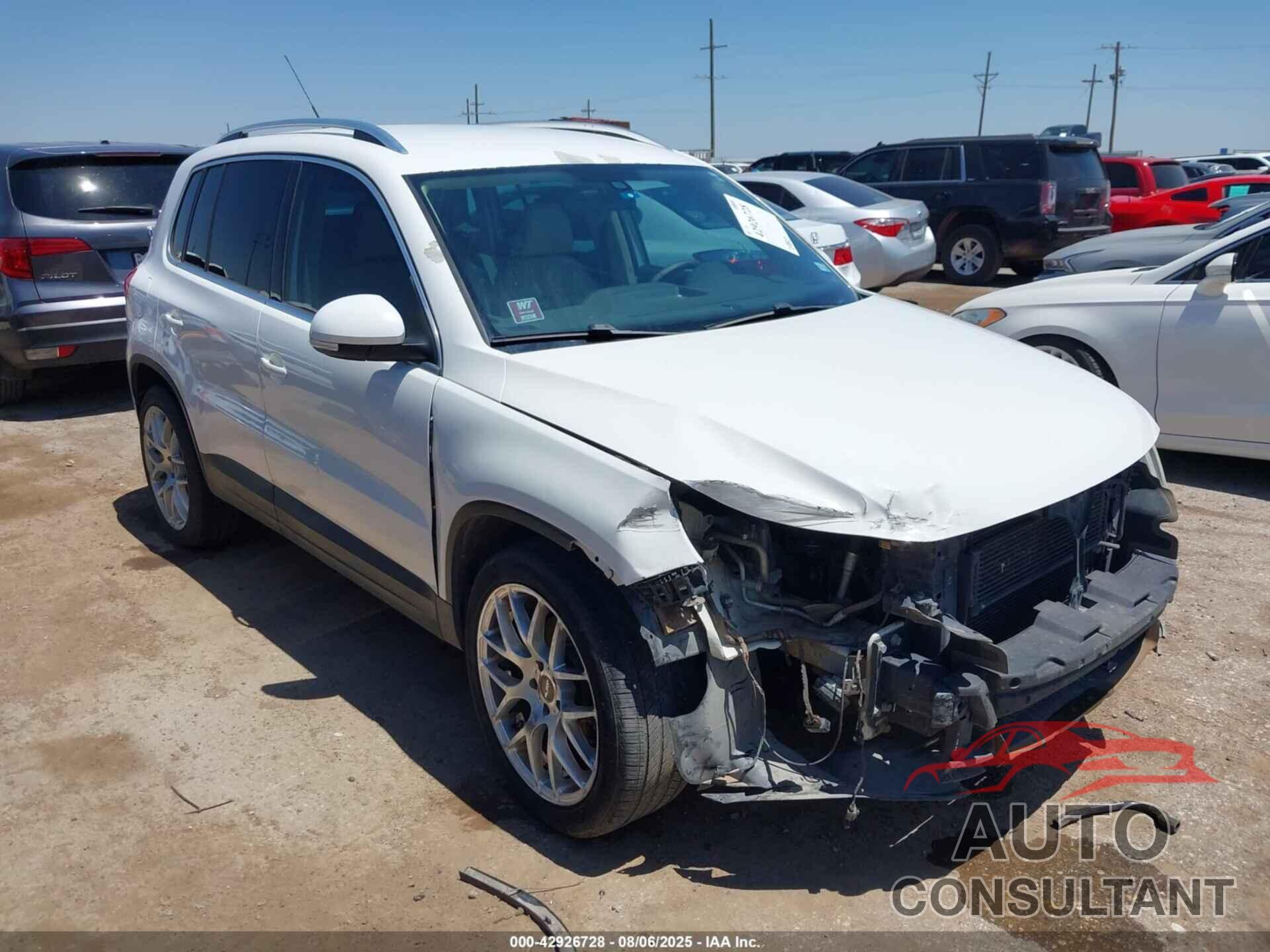 VOLKSWAGEN TIGUAN 2009 - WVGAV75N89W538275