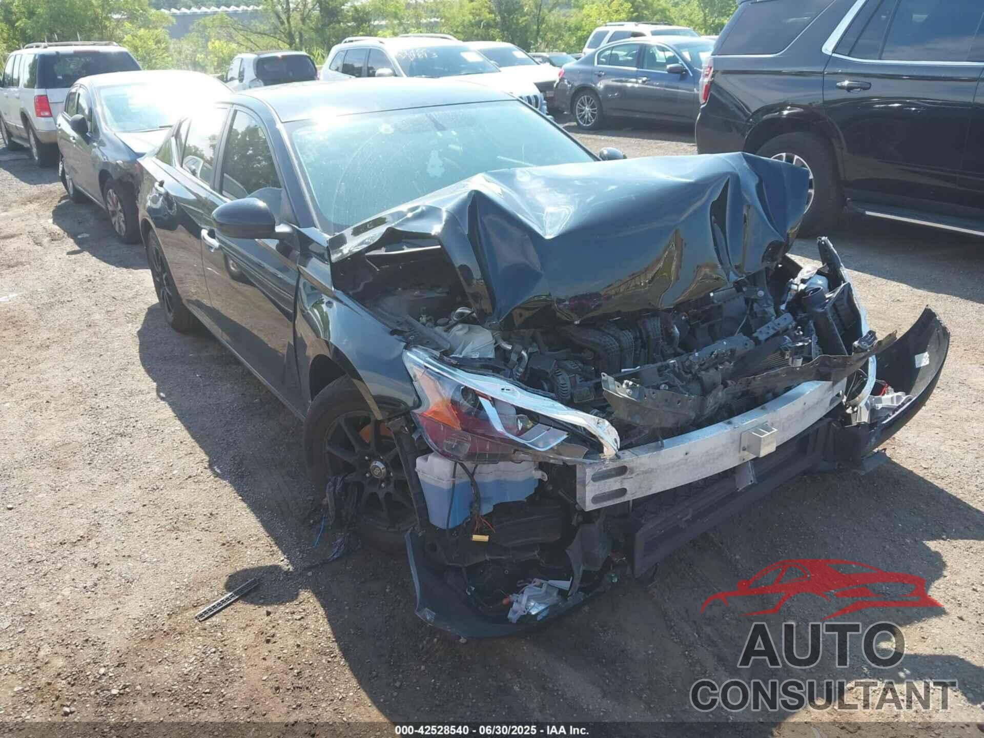 NISSAN ALTIMA 2019 - 1N4BL4BV3KC214293