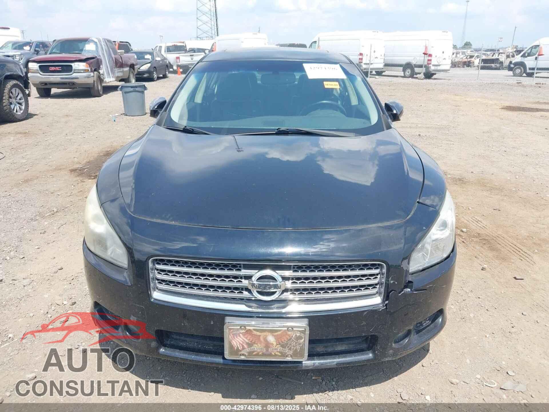 NISSAN MAXIMA 2009 - 1N4AA51EX9C856187