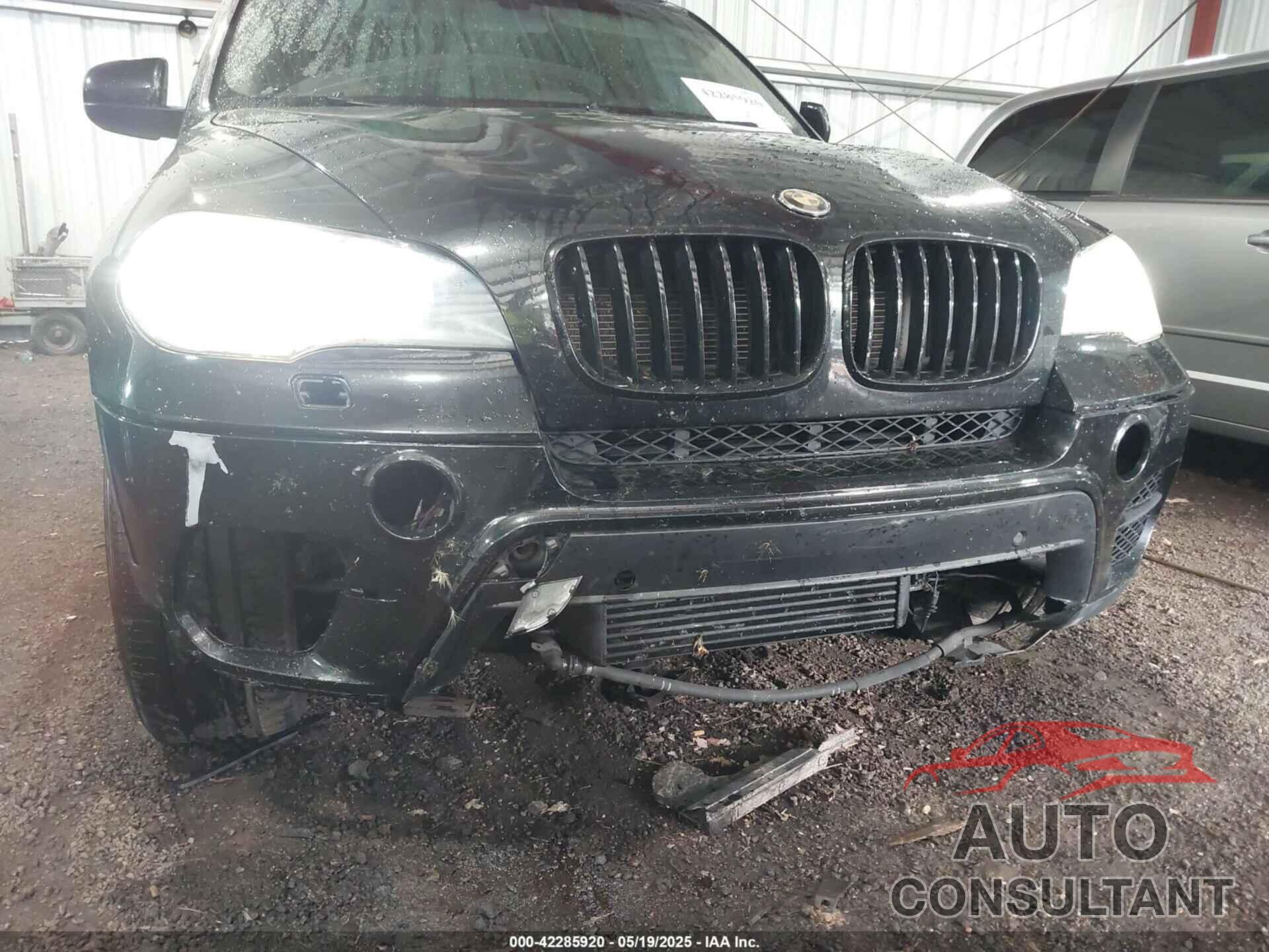 BMW X5 2011 - 5UXZW0C54BL369201