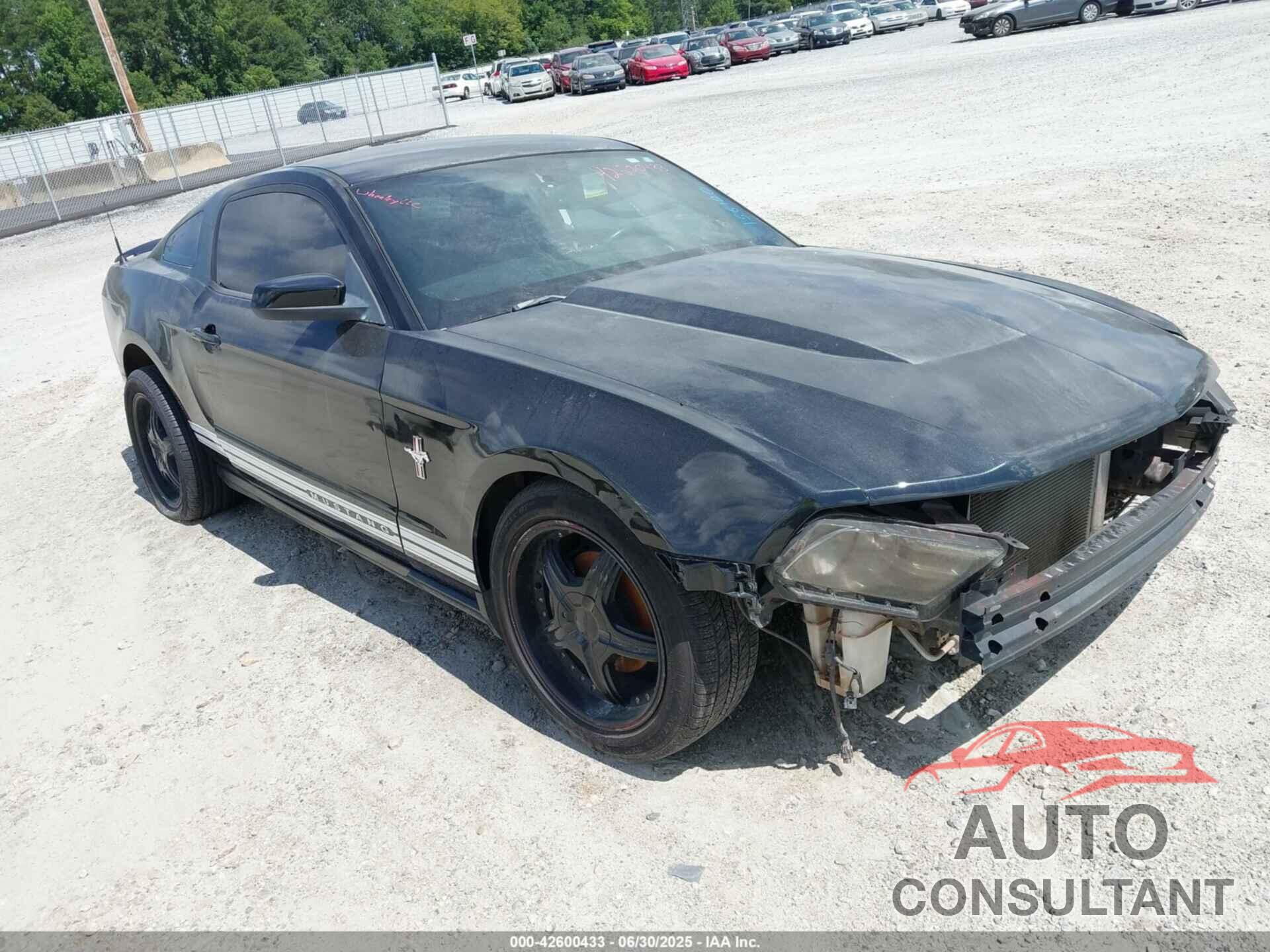 FORD MUSTANG 2010 - 1ZVBP8AN0A5156120