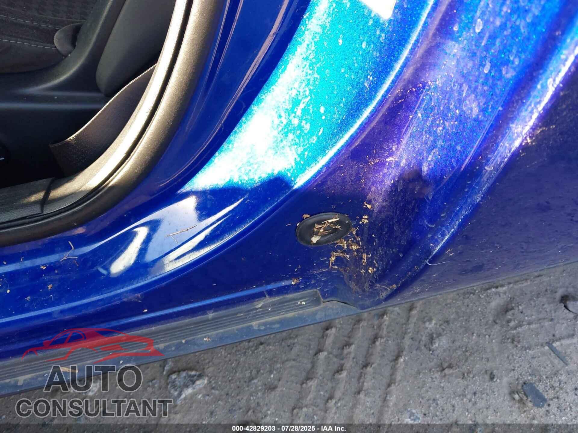 DODGE CHALLENGER 2019 - 2C3CDZAG9KH557297