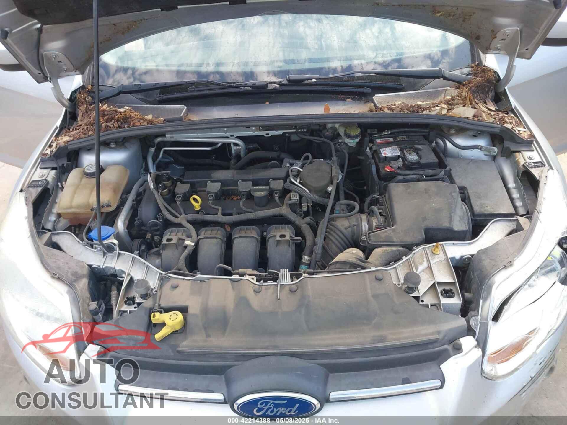 FORD FOCUS 2012 - 1FAHP3K26CL262936