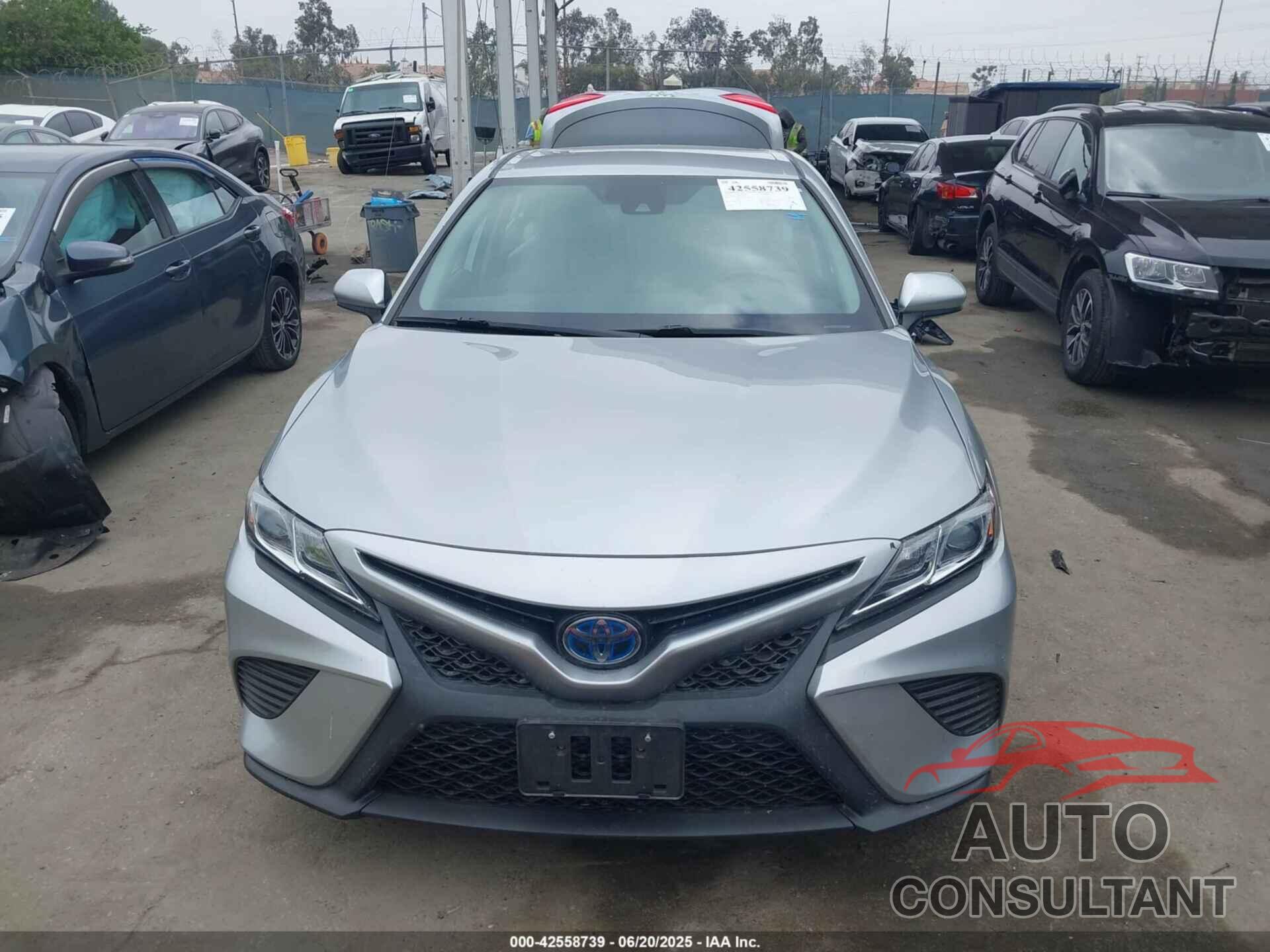 TOYOTA CAMRY 2020 - 4T1G31AK2LU536811