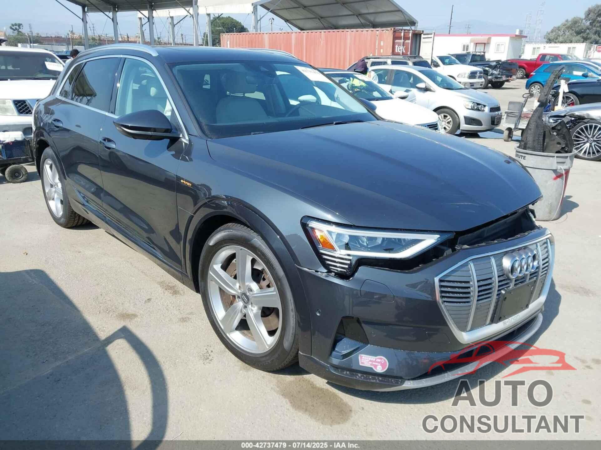 AUDI E-TRON 2019 - WA1LAAGE6KB022300